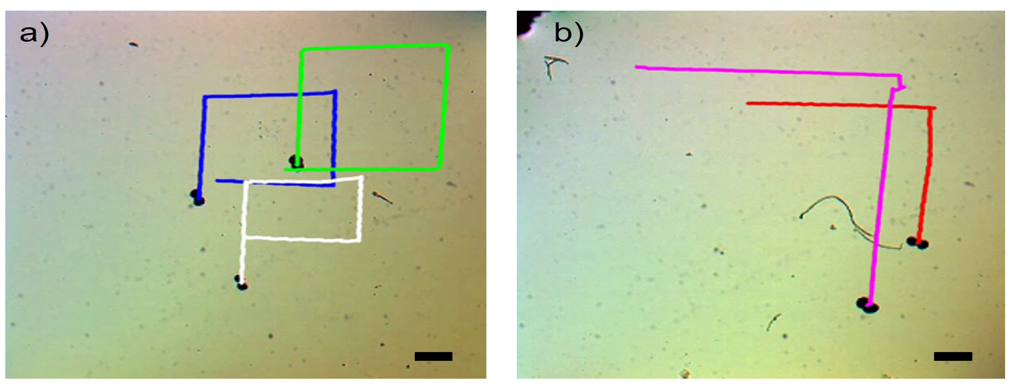 Preprints 73842 g007