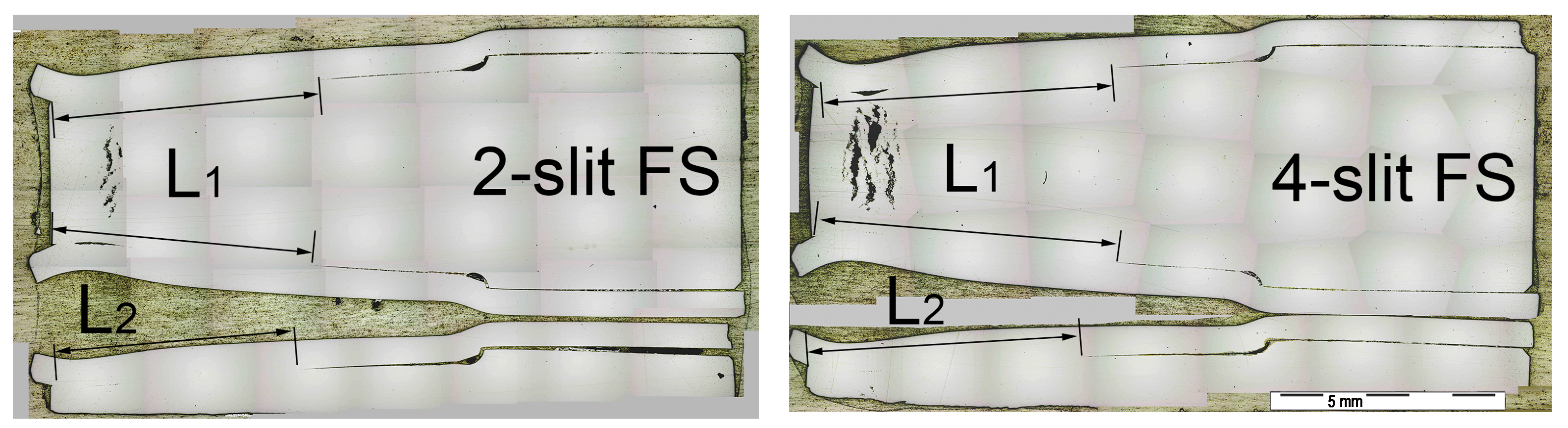 Preprints 102227 g016