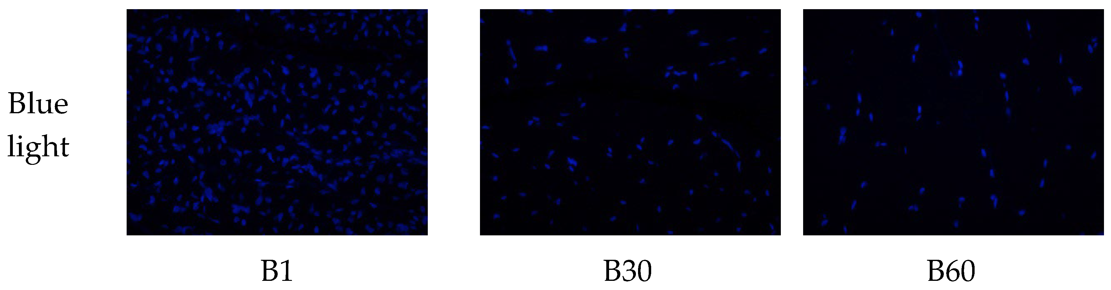 Preprints 75498 g001b