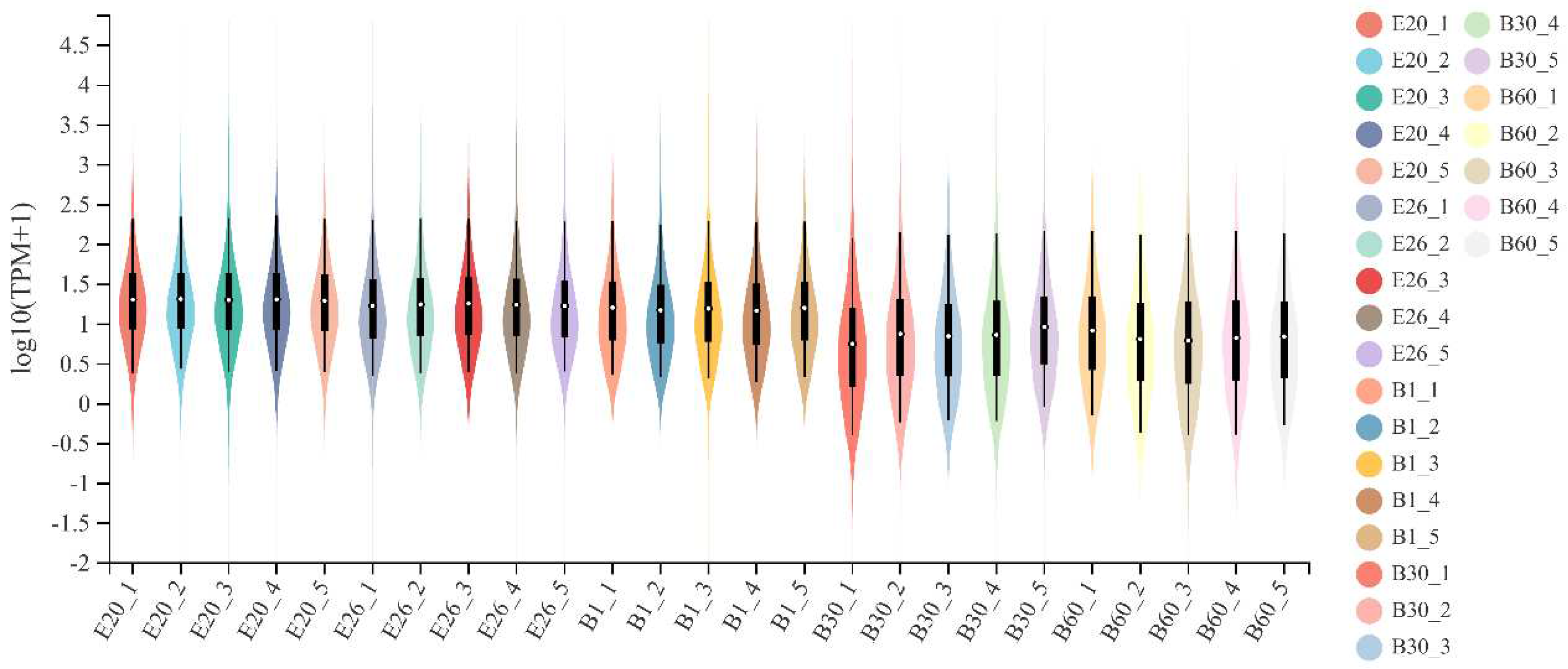 Preprints 75498 g002