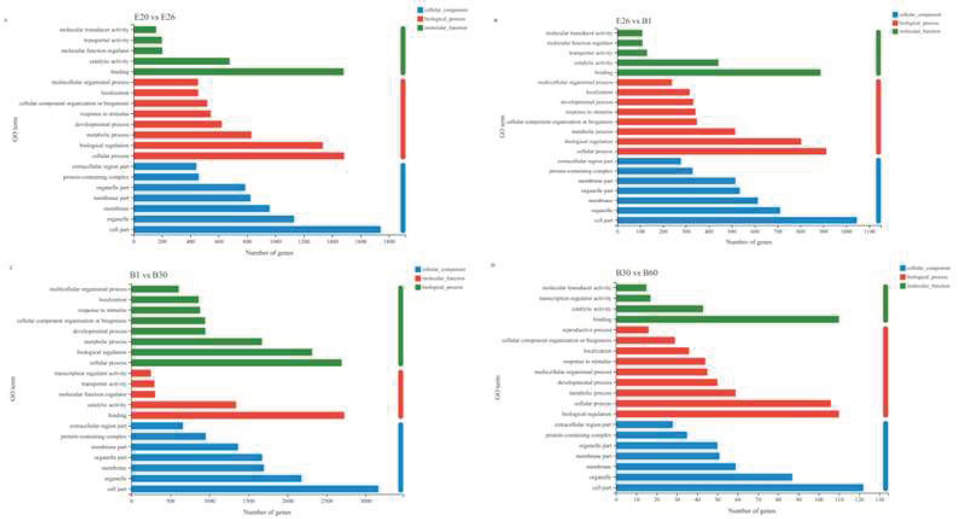 Preprints 75498 g005