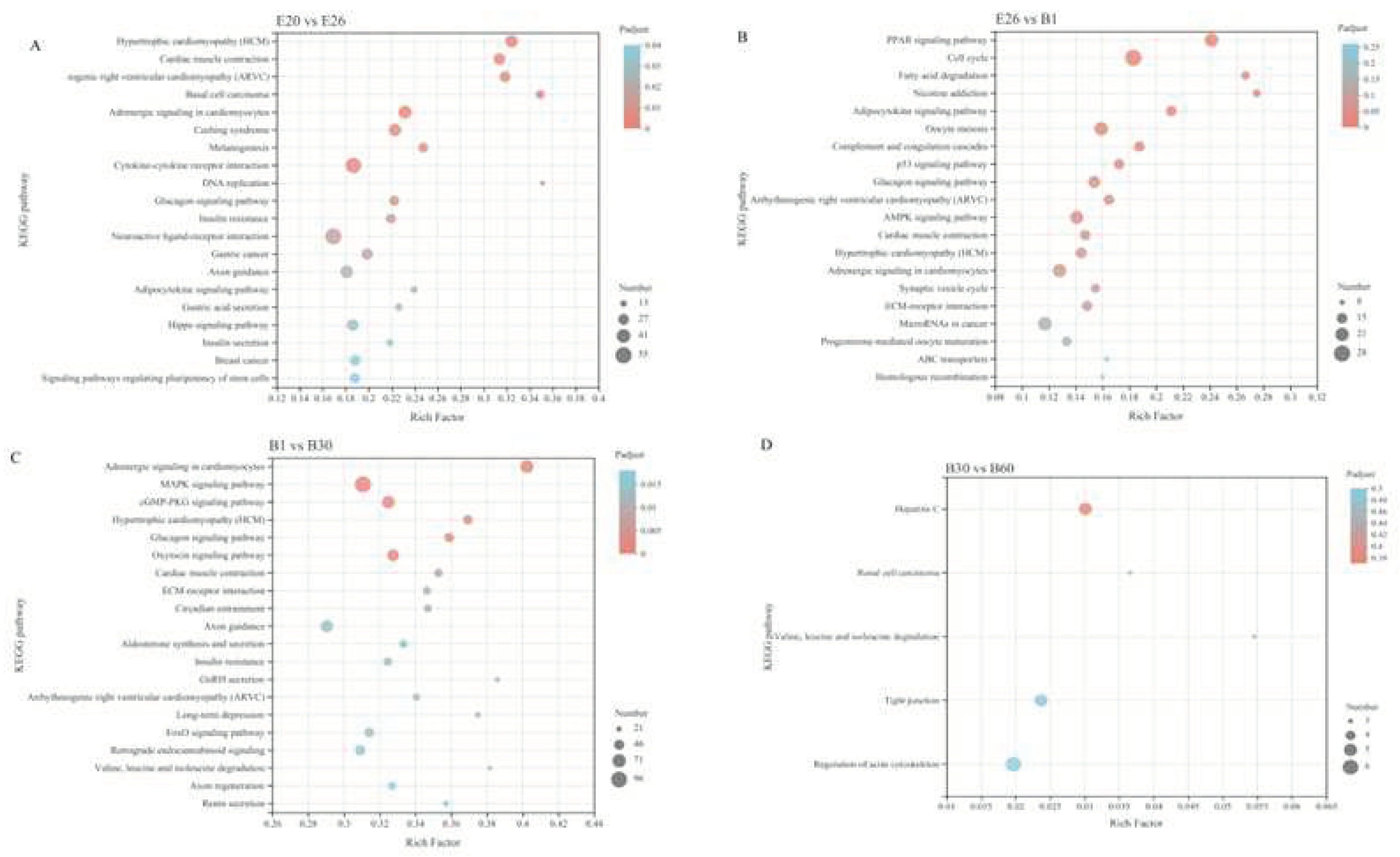 Preprints 75498 g006