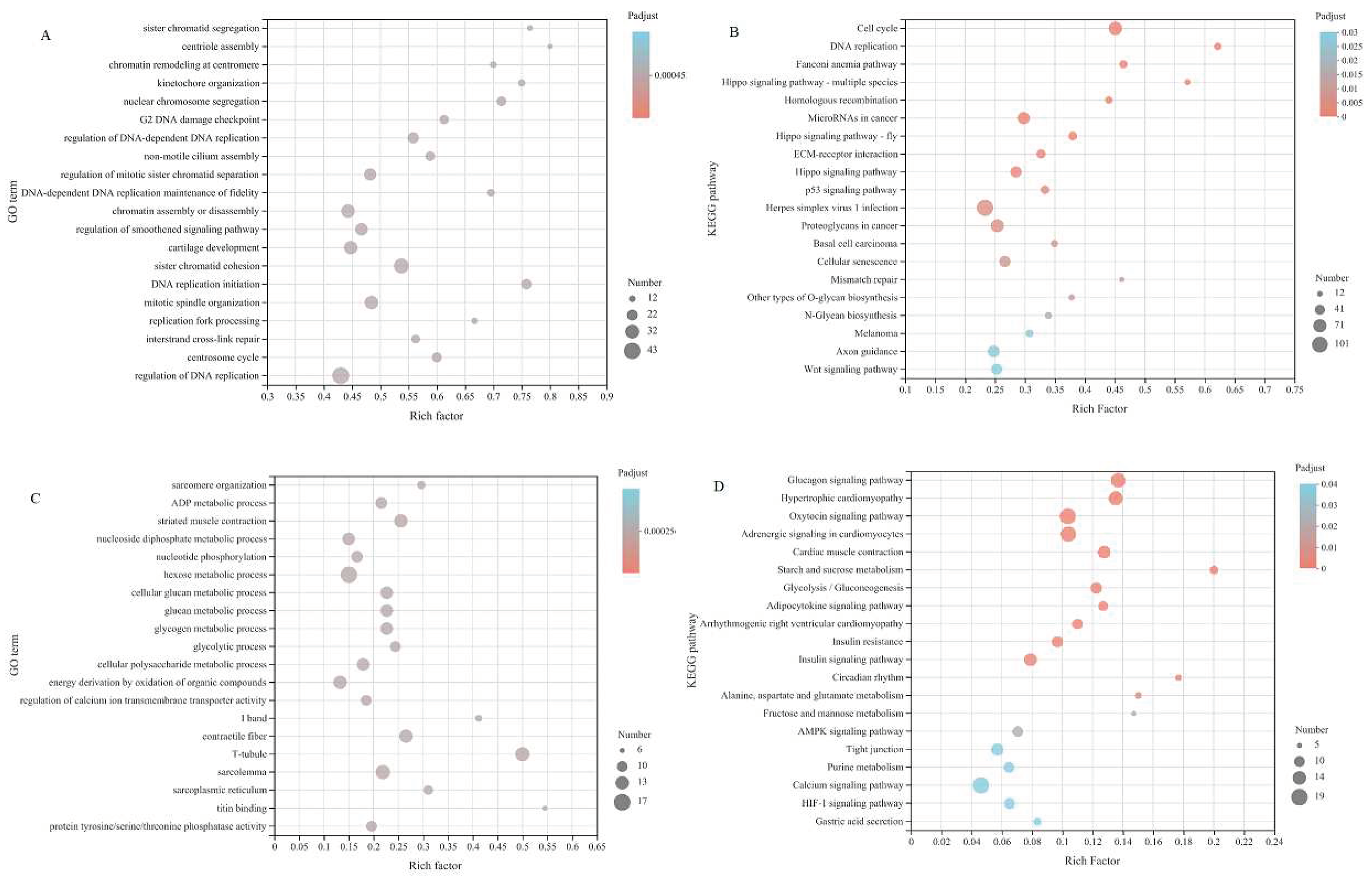 Preprints 75498 g008