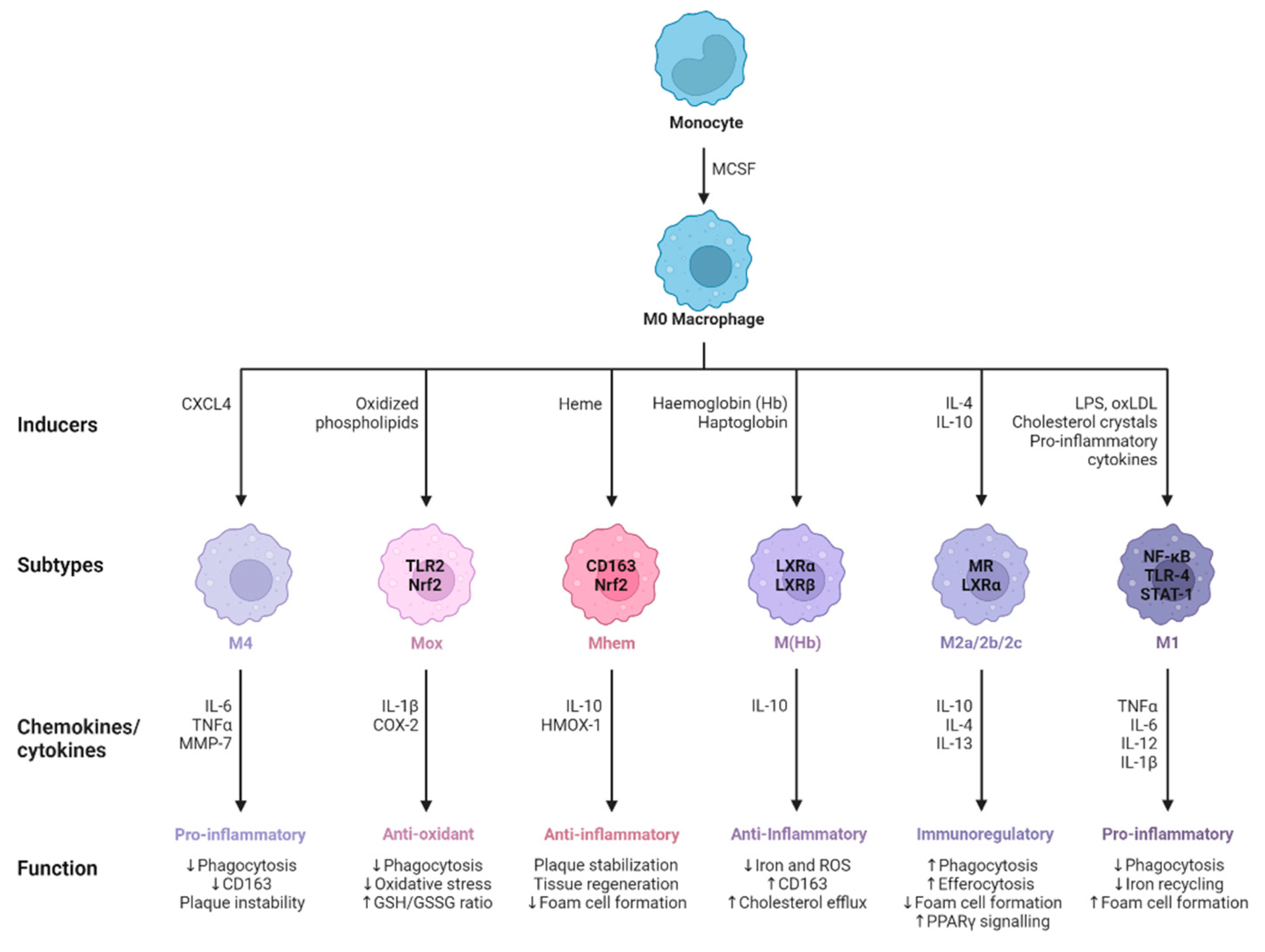 Preprints 86005 g003