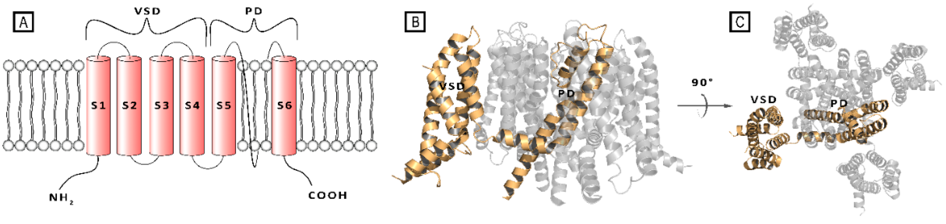 Preprints 109469 g001