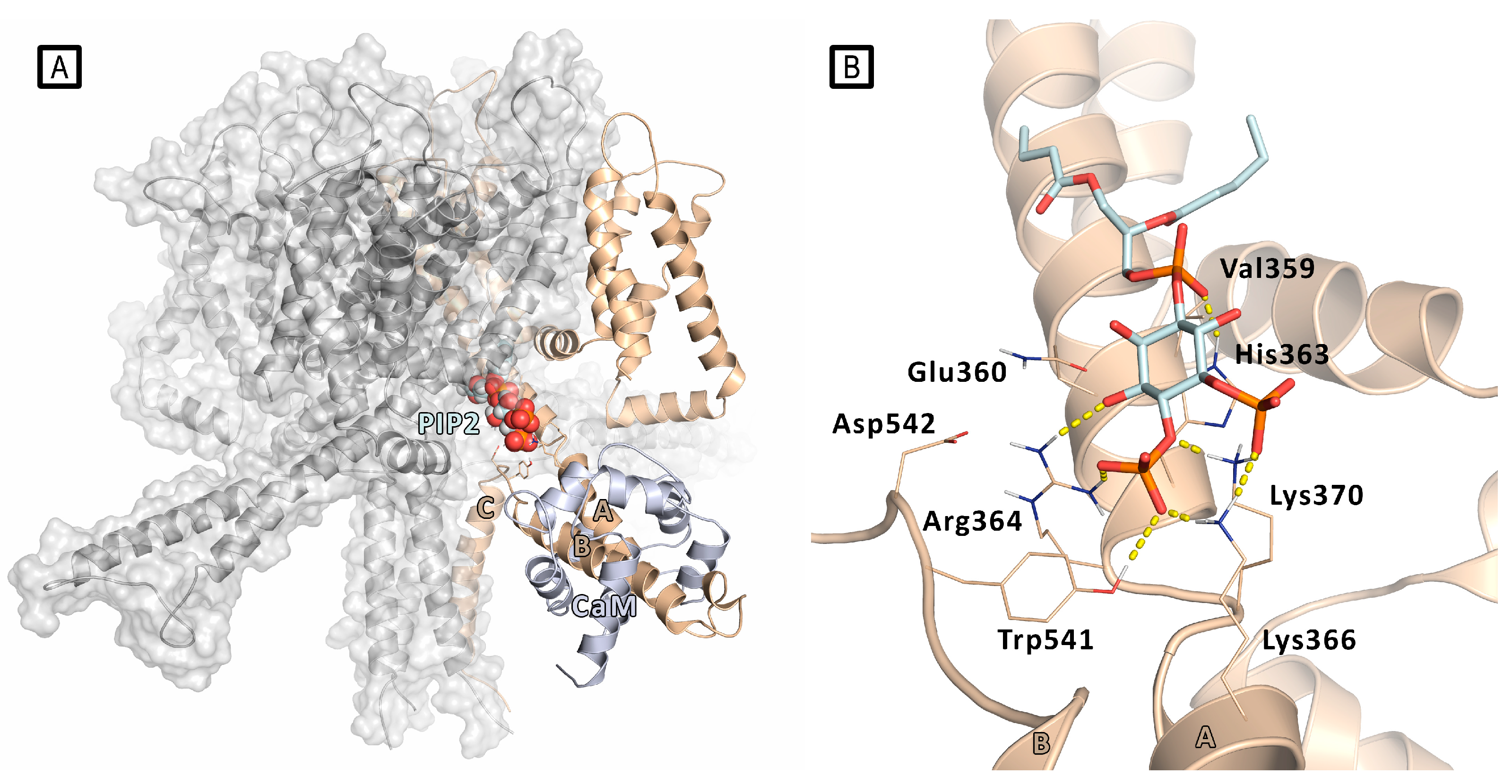 Preprints 109469 g003