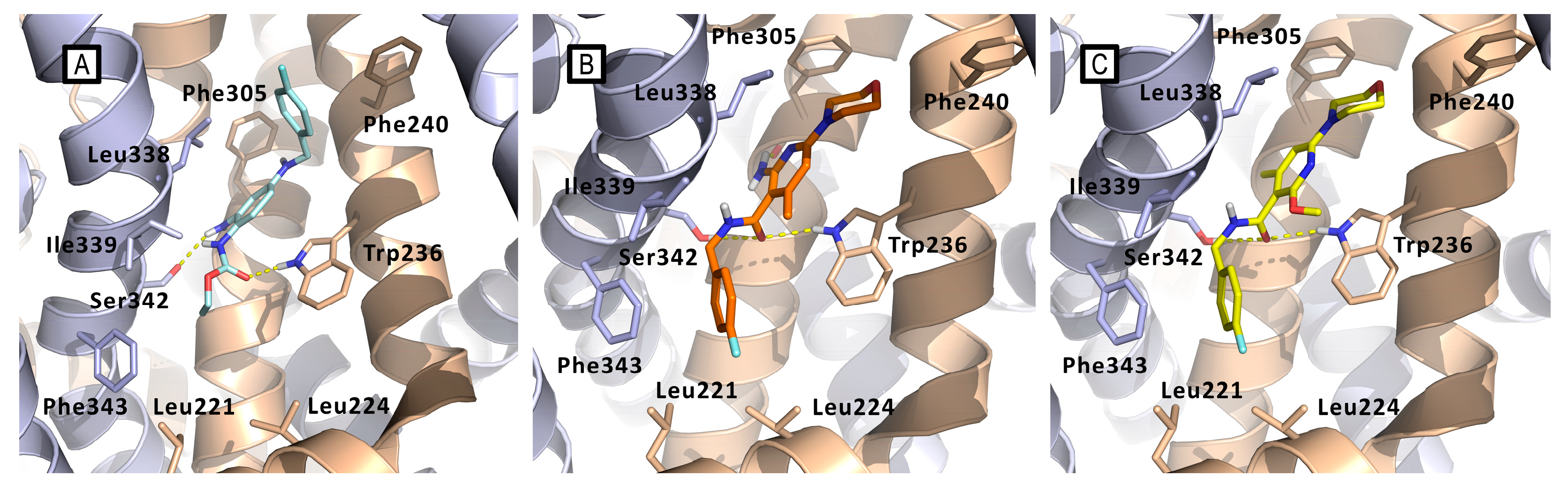 Preprints 109469 g021