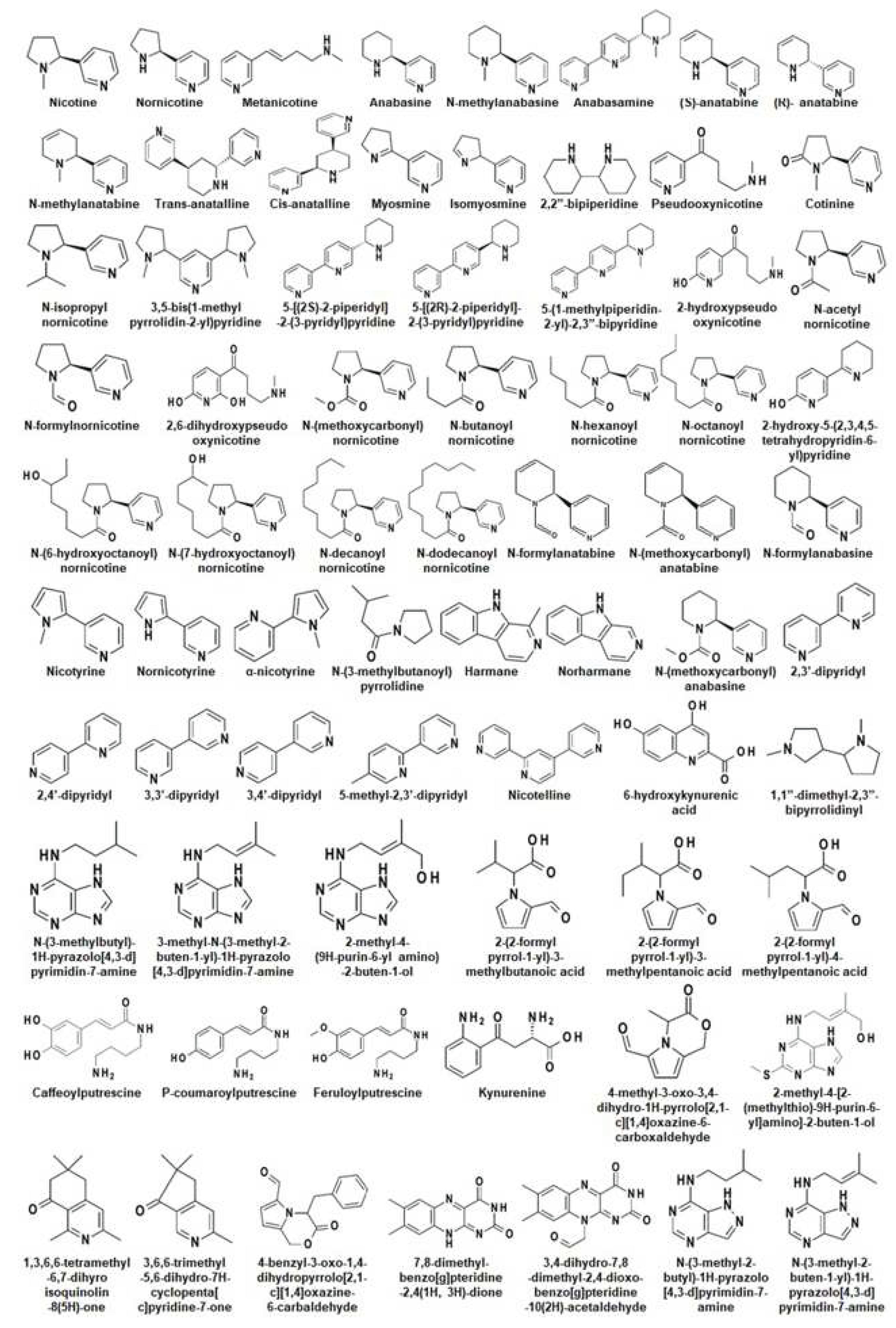 Preprints 70962 g002