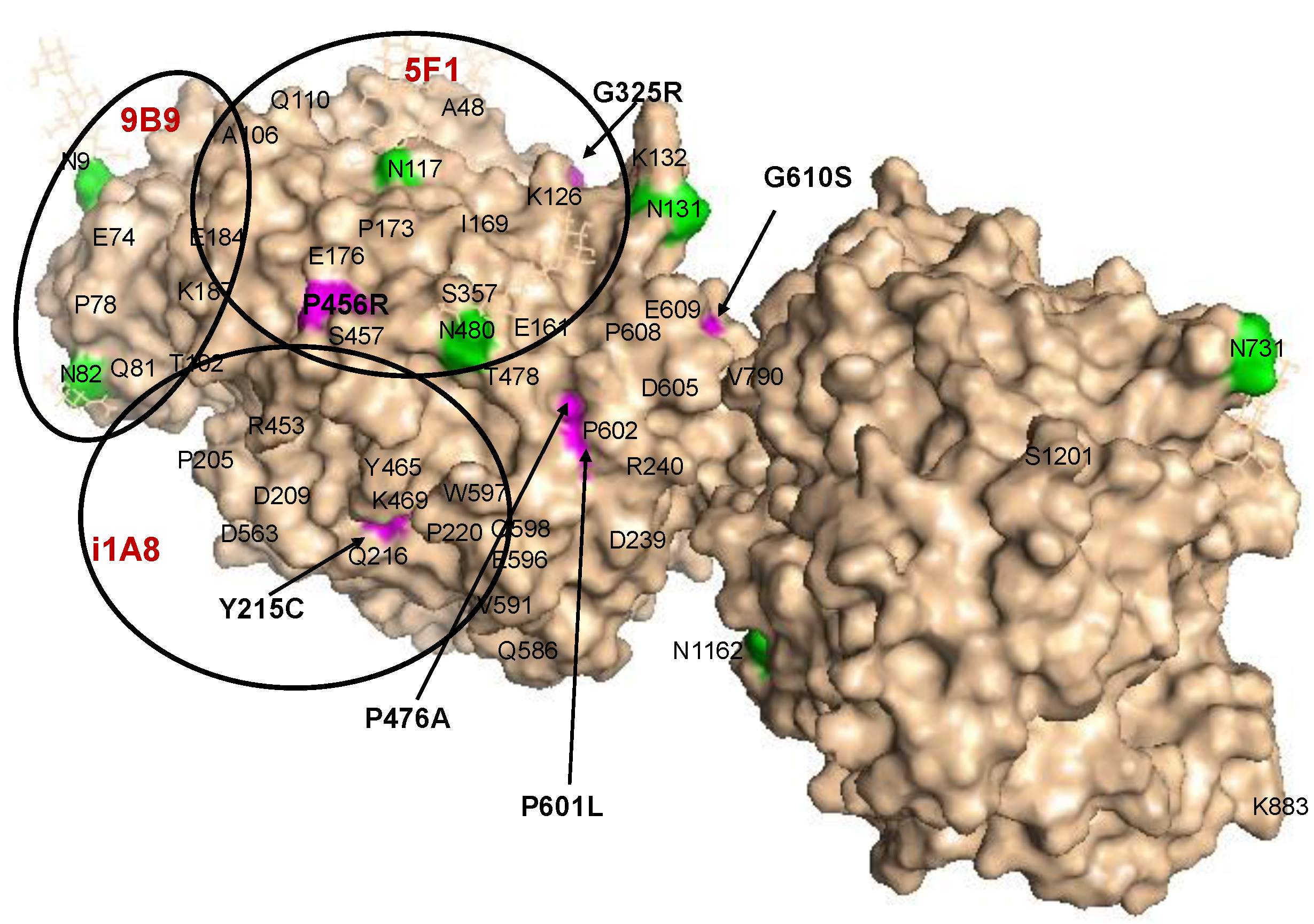 Preprints 108697 g001