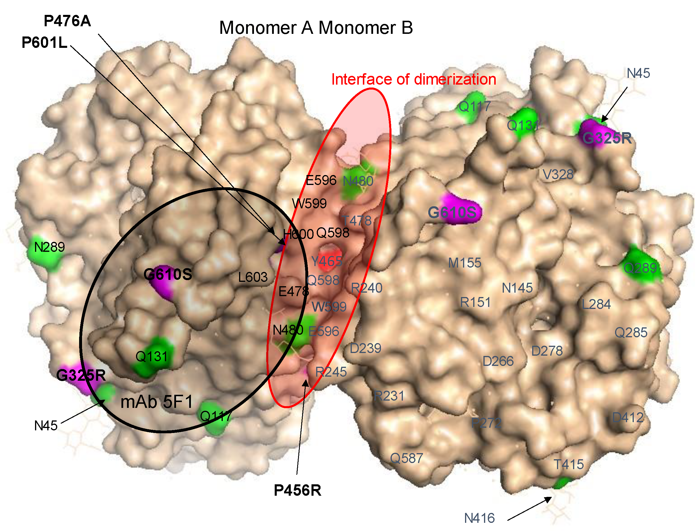 Preprints 108697 g004