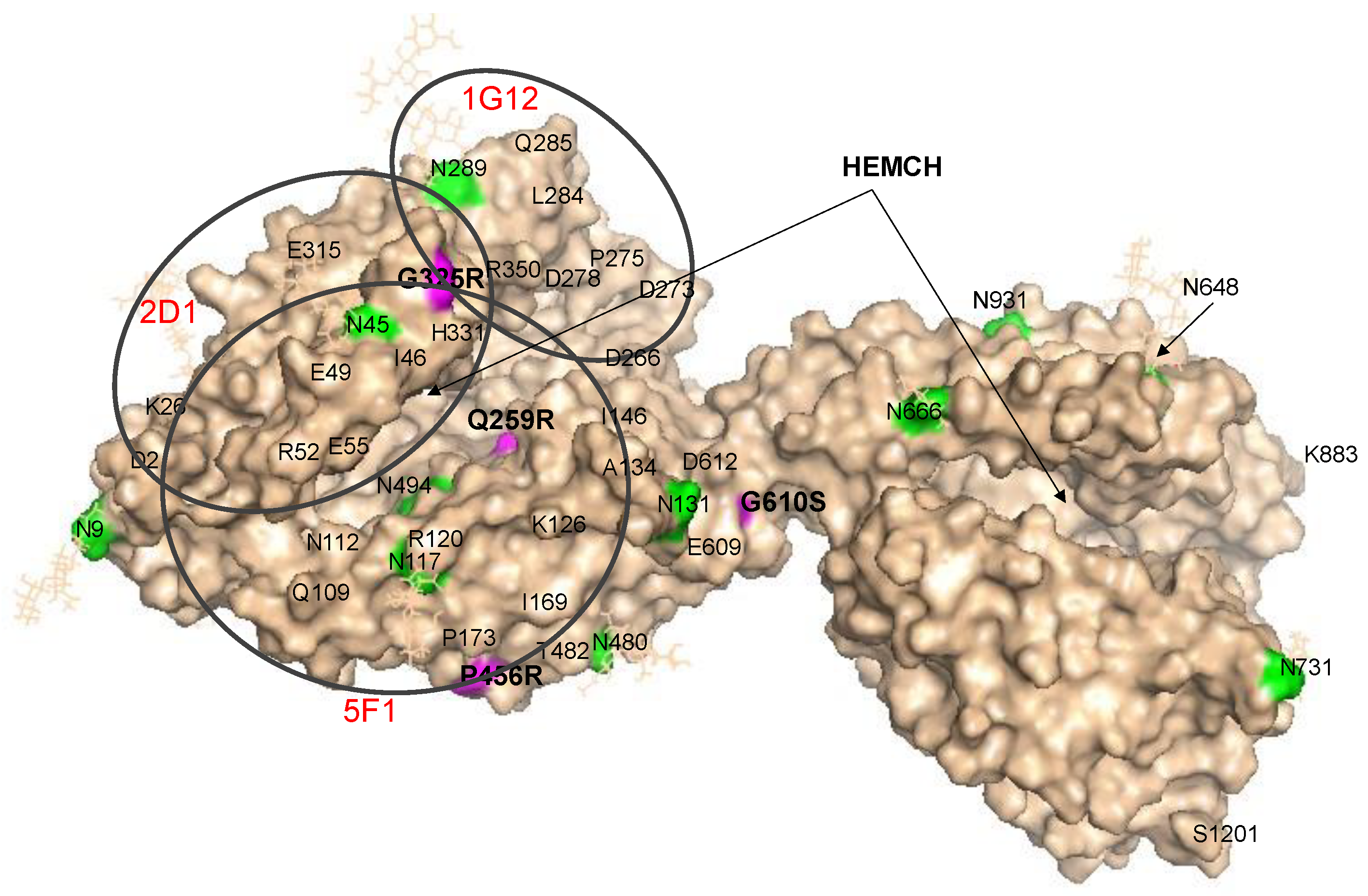 Preprints 108697 g006