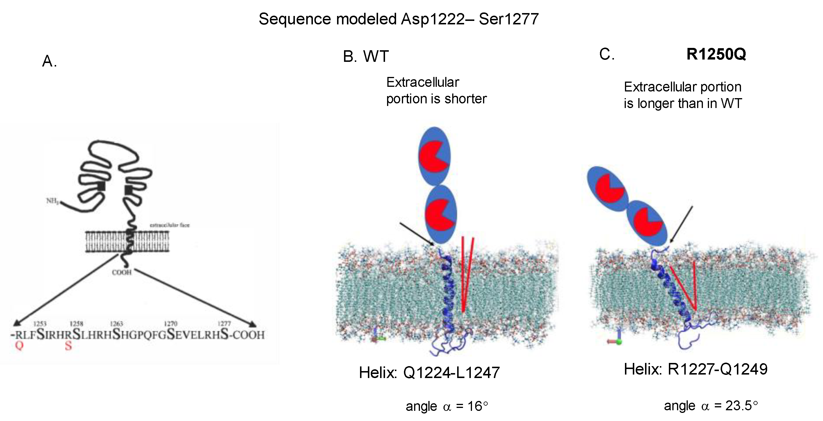 Preprints 108697 g007