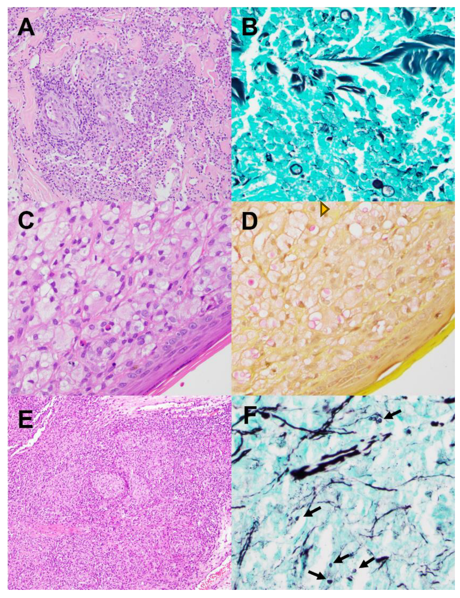 Preprints 107631 g004