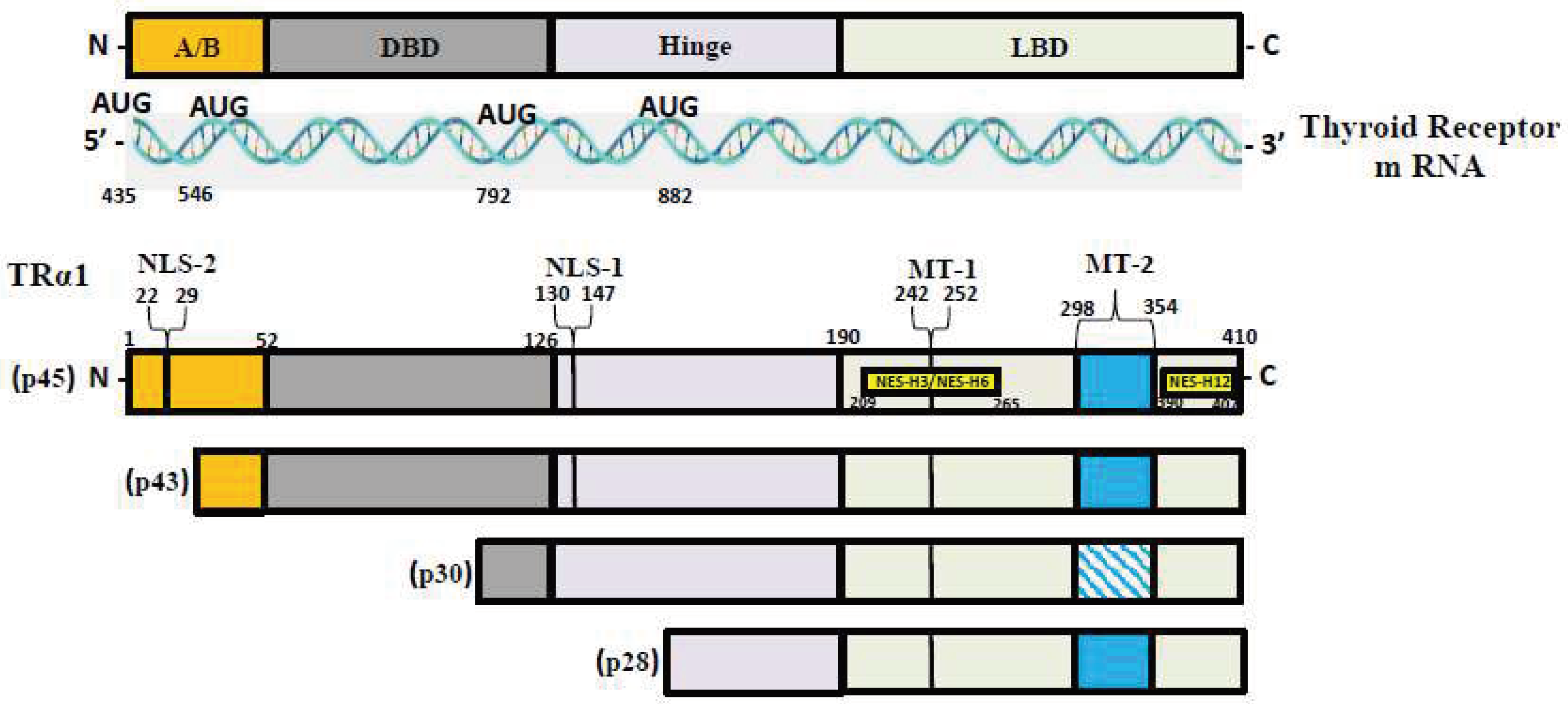 Preprints 88604 g001