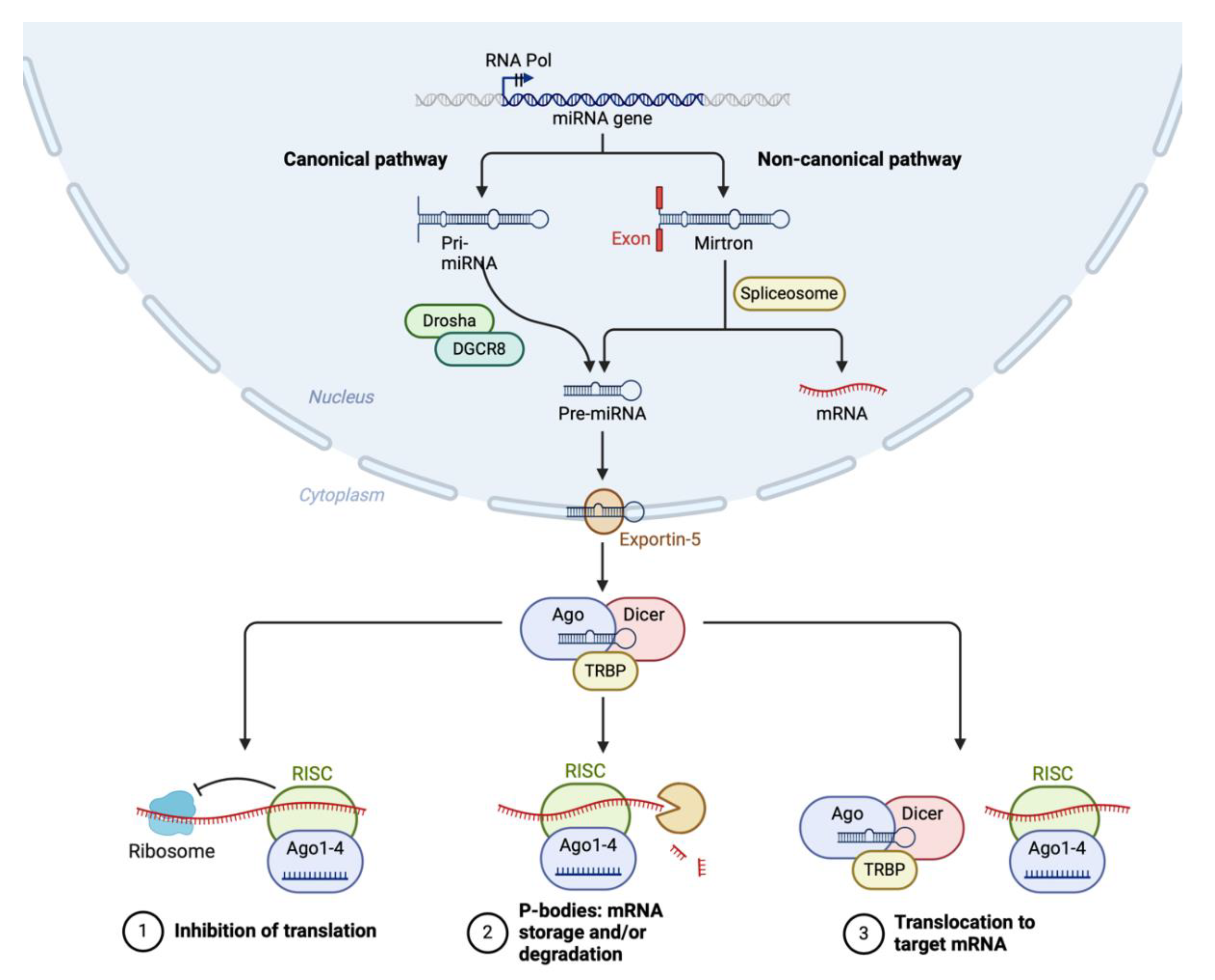 Preprints 119026 g003