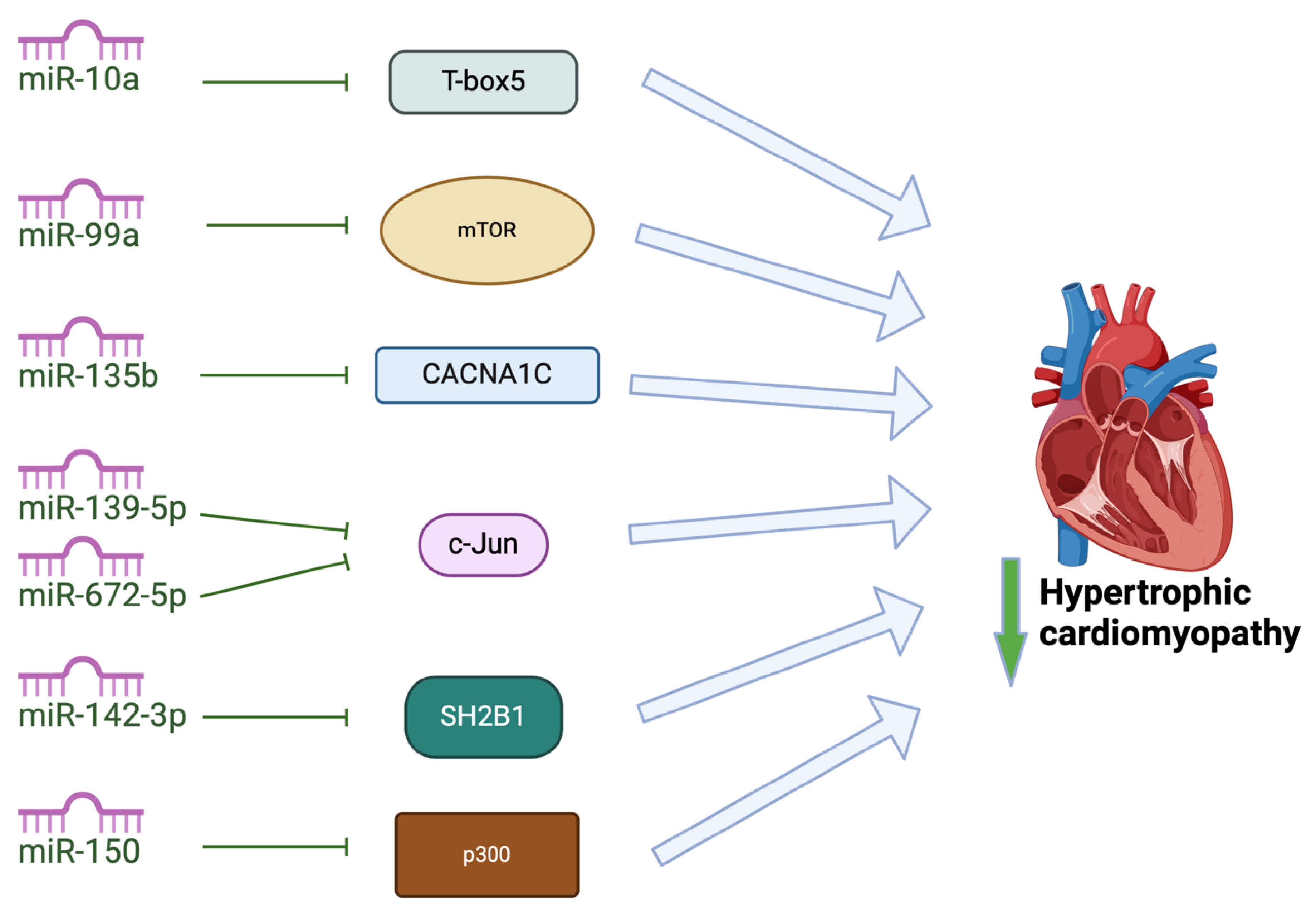 Preprints 119026 g004