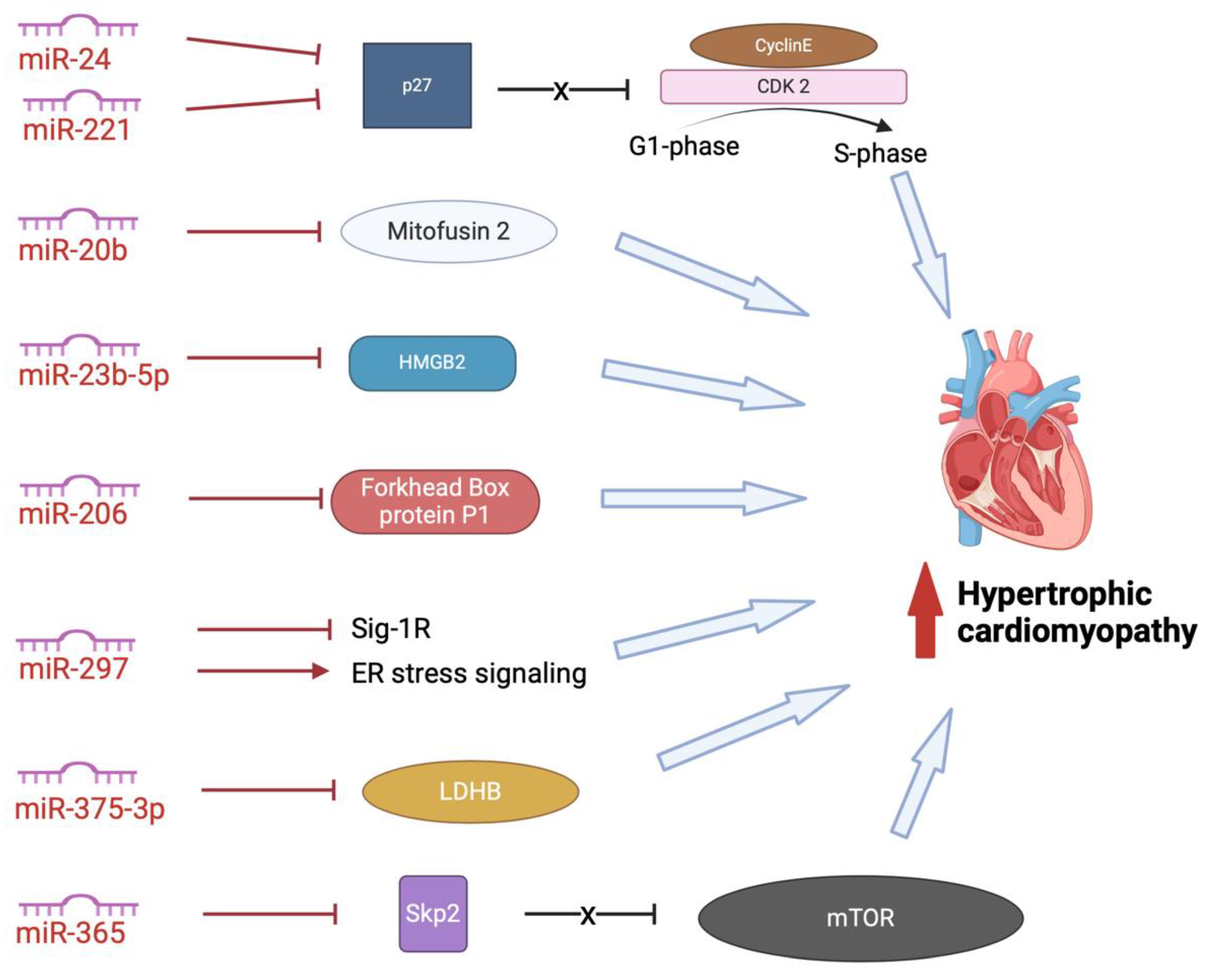 Preprints 119026 g005