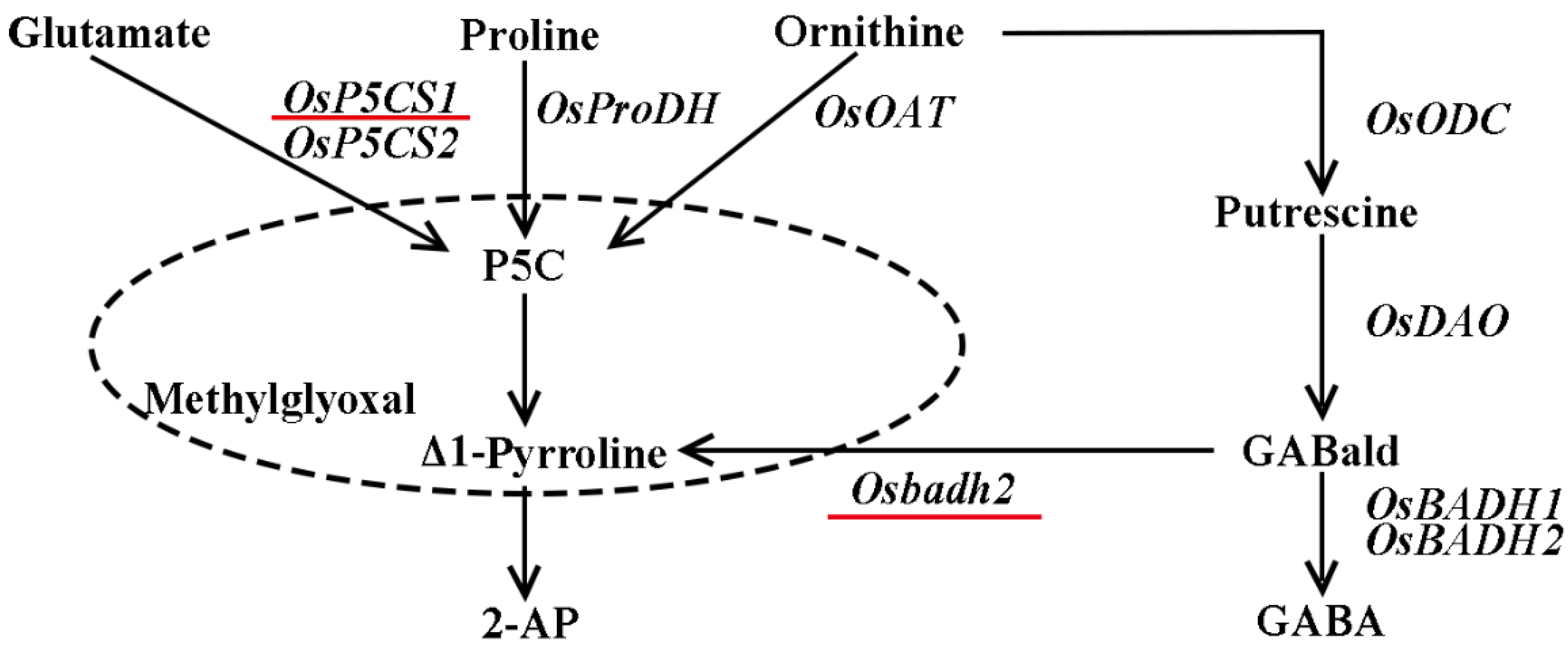 Preprints 91443 g001