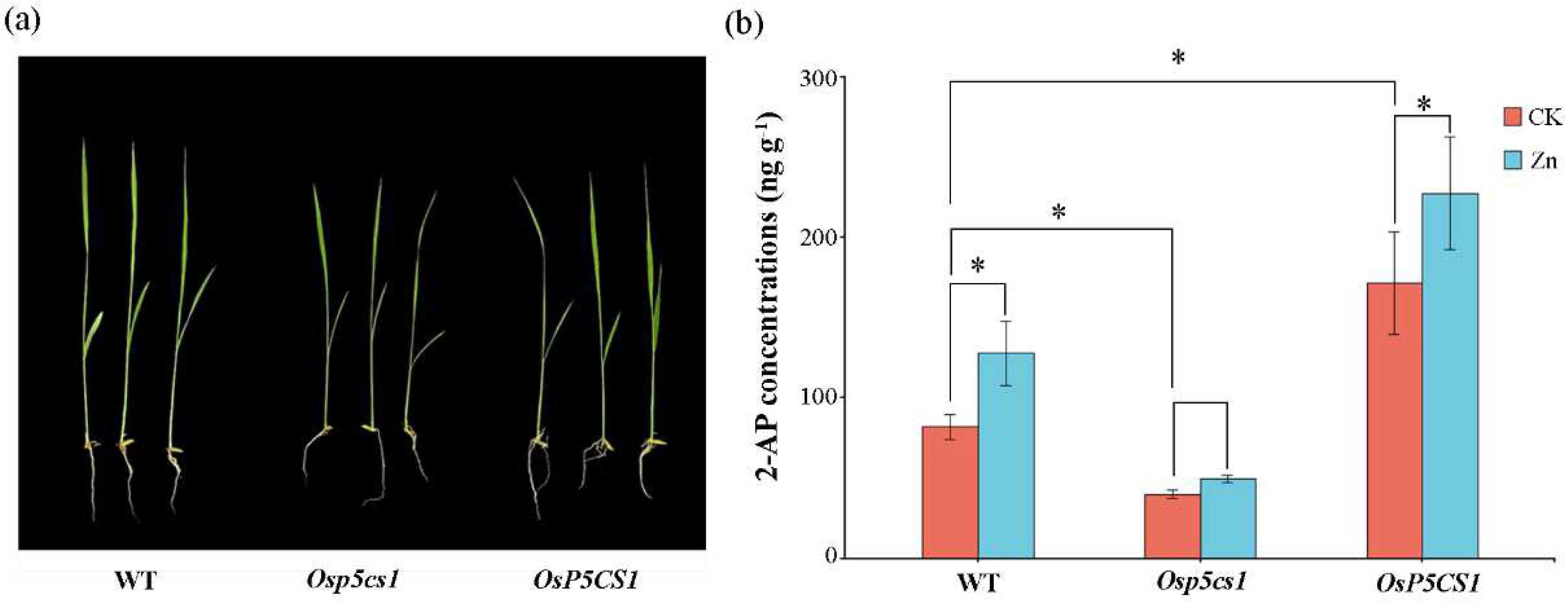 Preprints 91443 g002