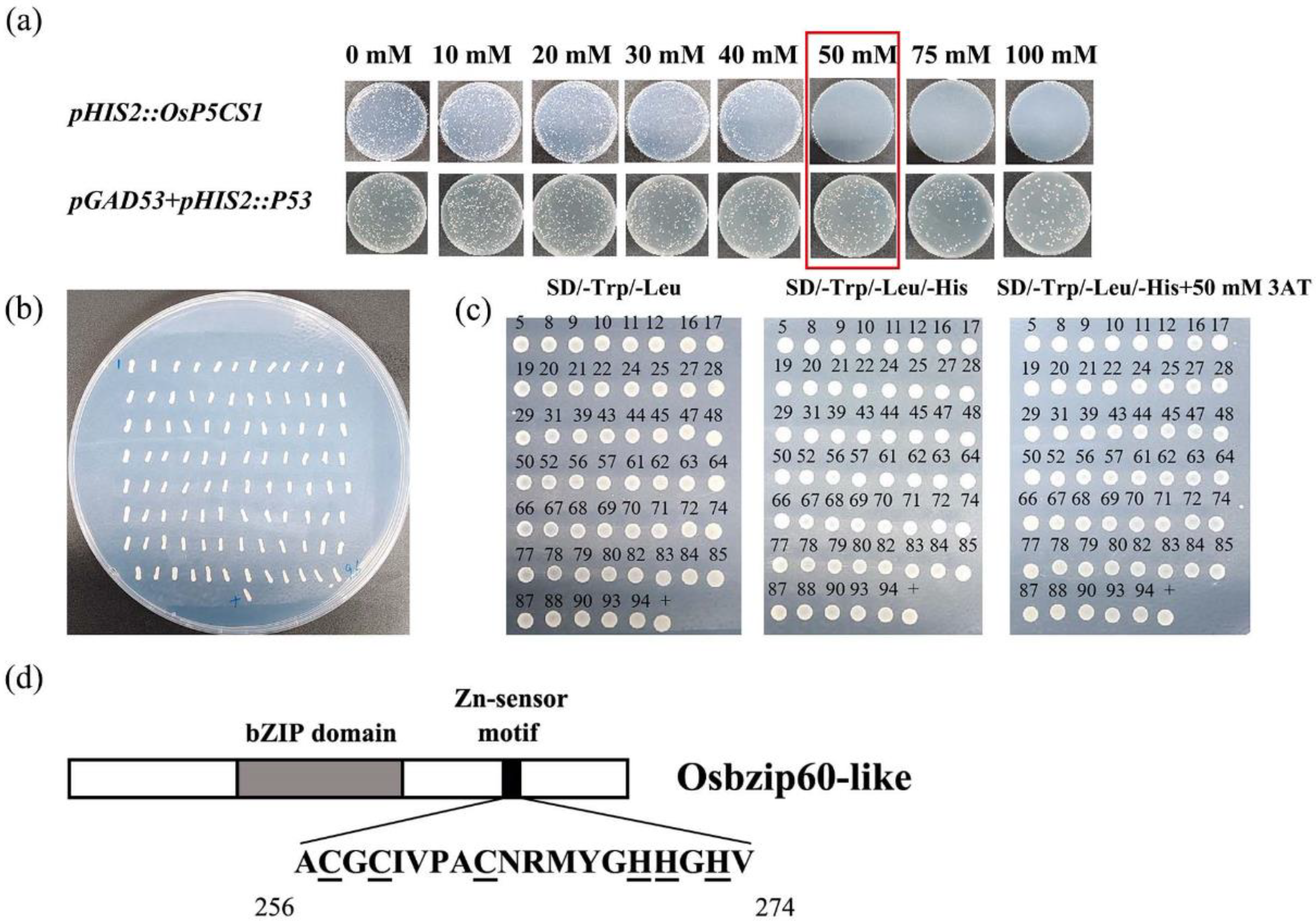 Preprints 91443 g003