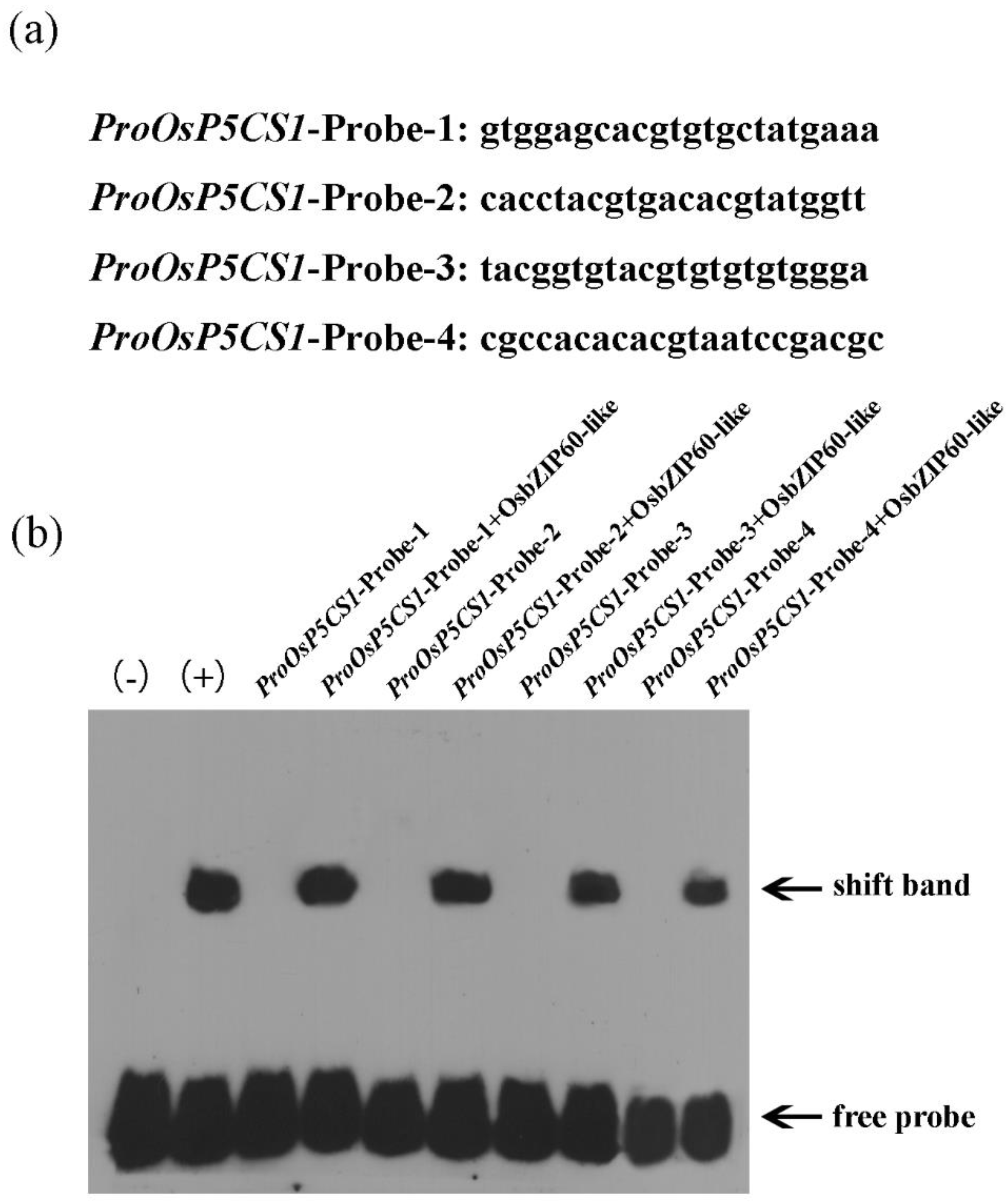 Preprints 91443 g004