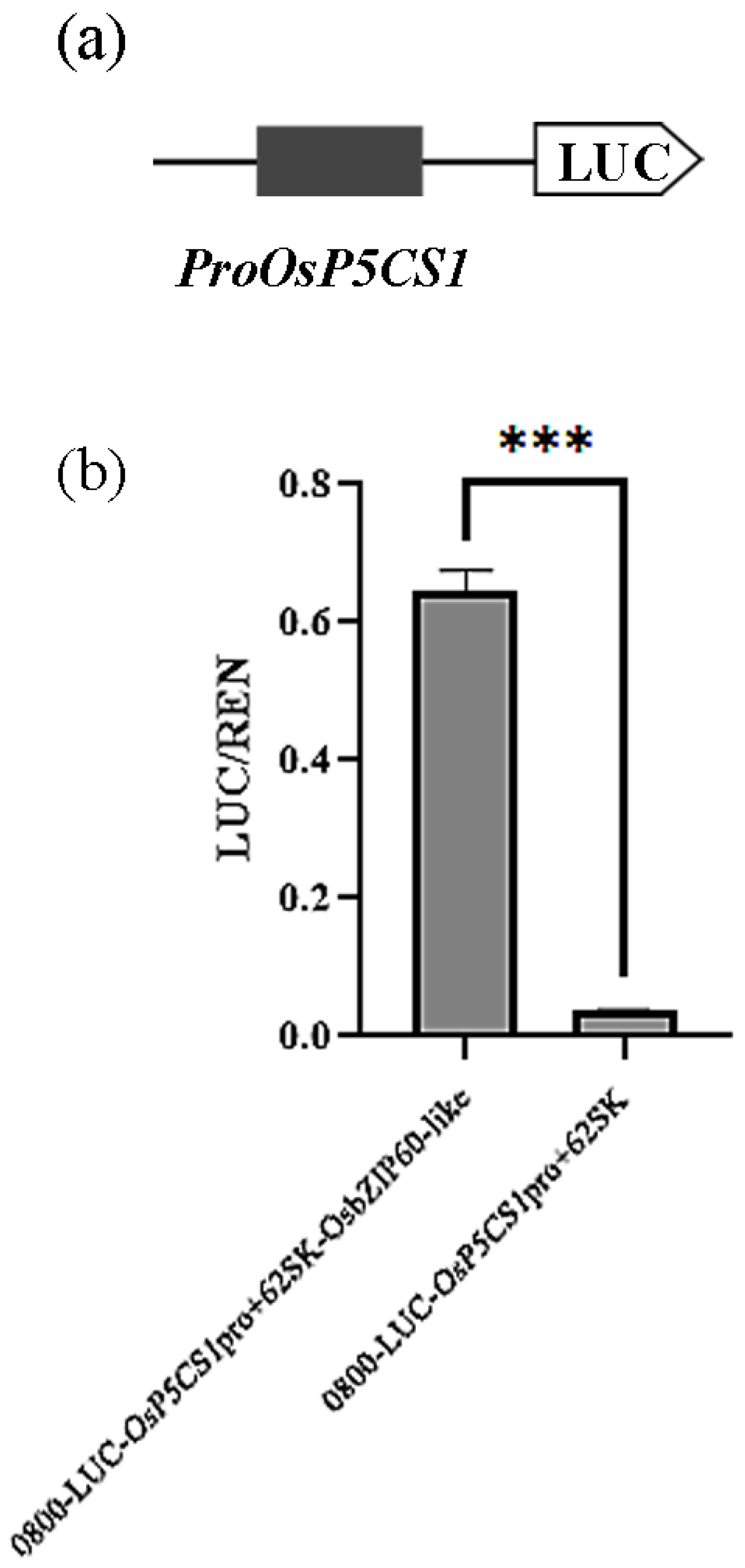 Preprints 91443 g005