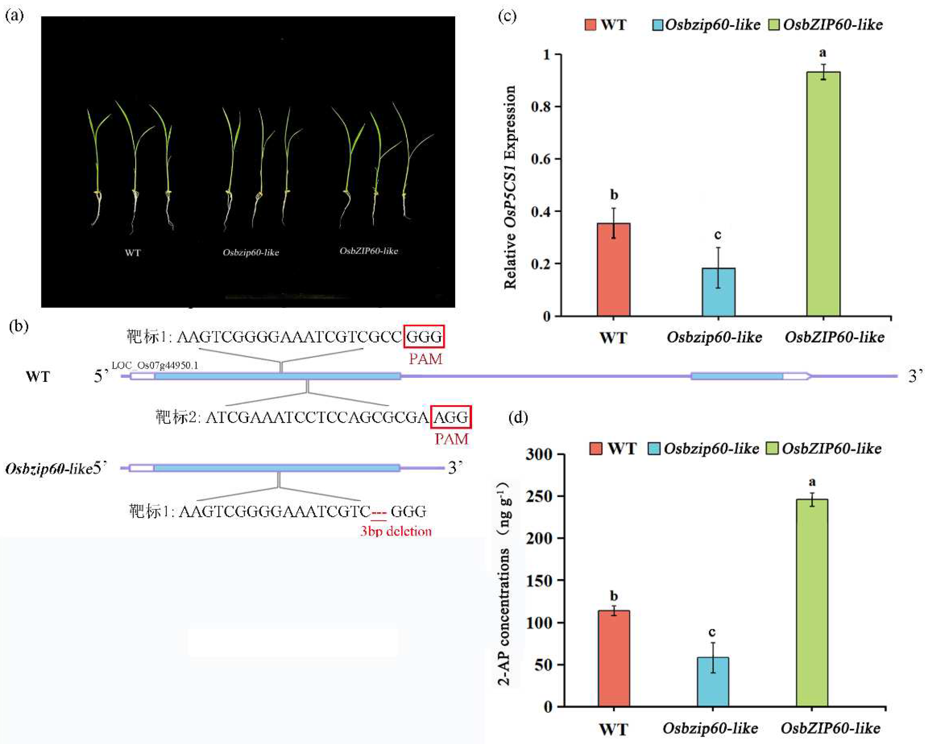 Preprints 91443 g006