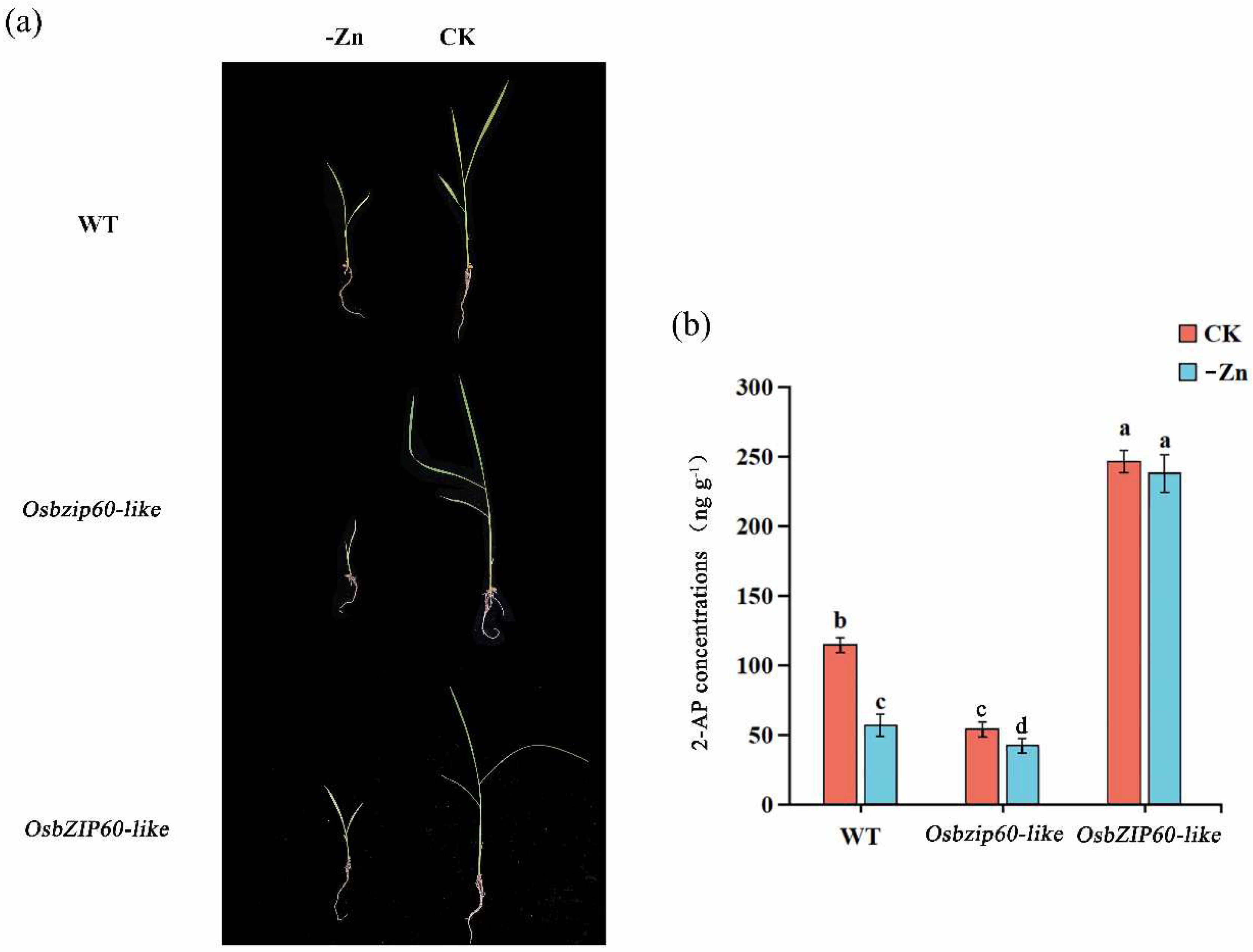 Preprints 91443 g007