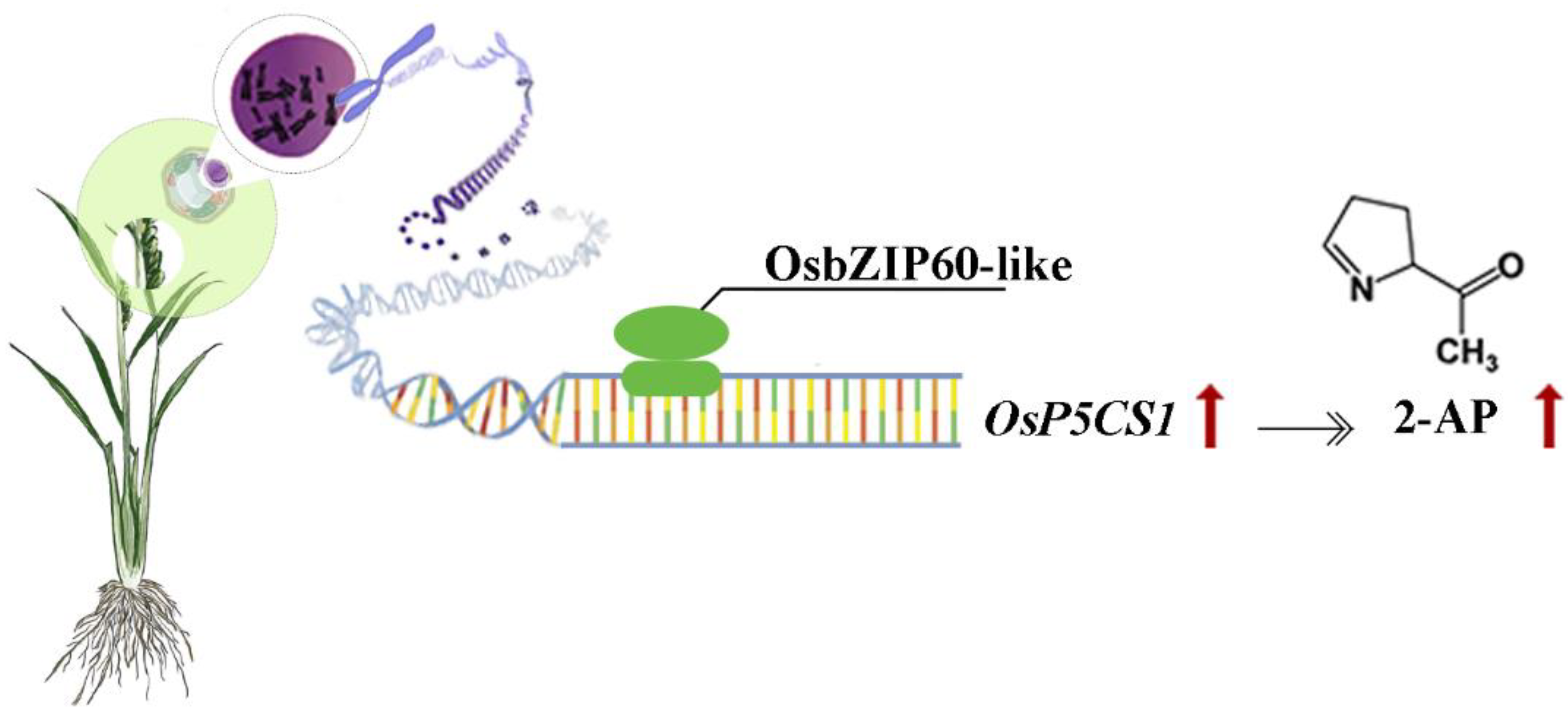 Preprints 91443 g008