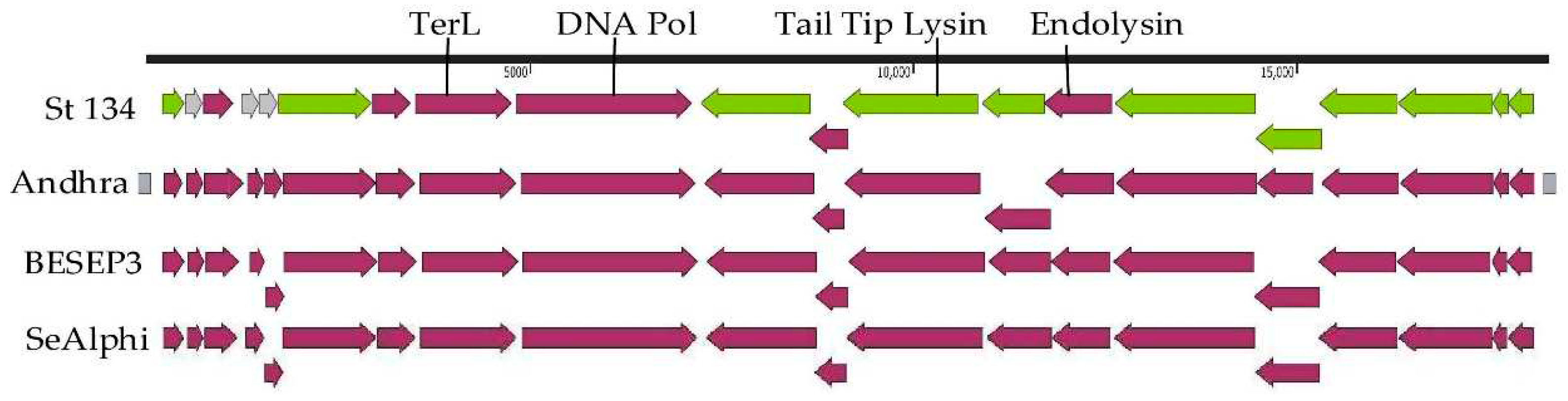 Preprints 96987 g003