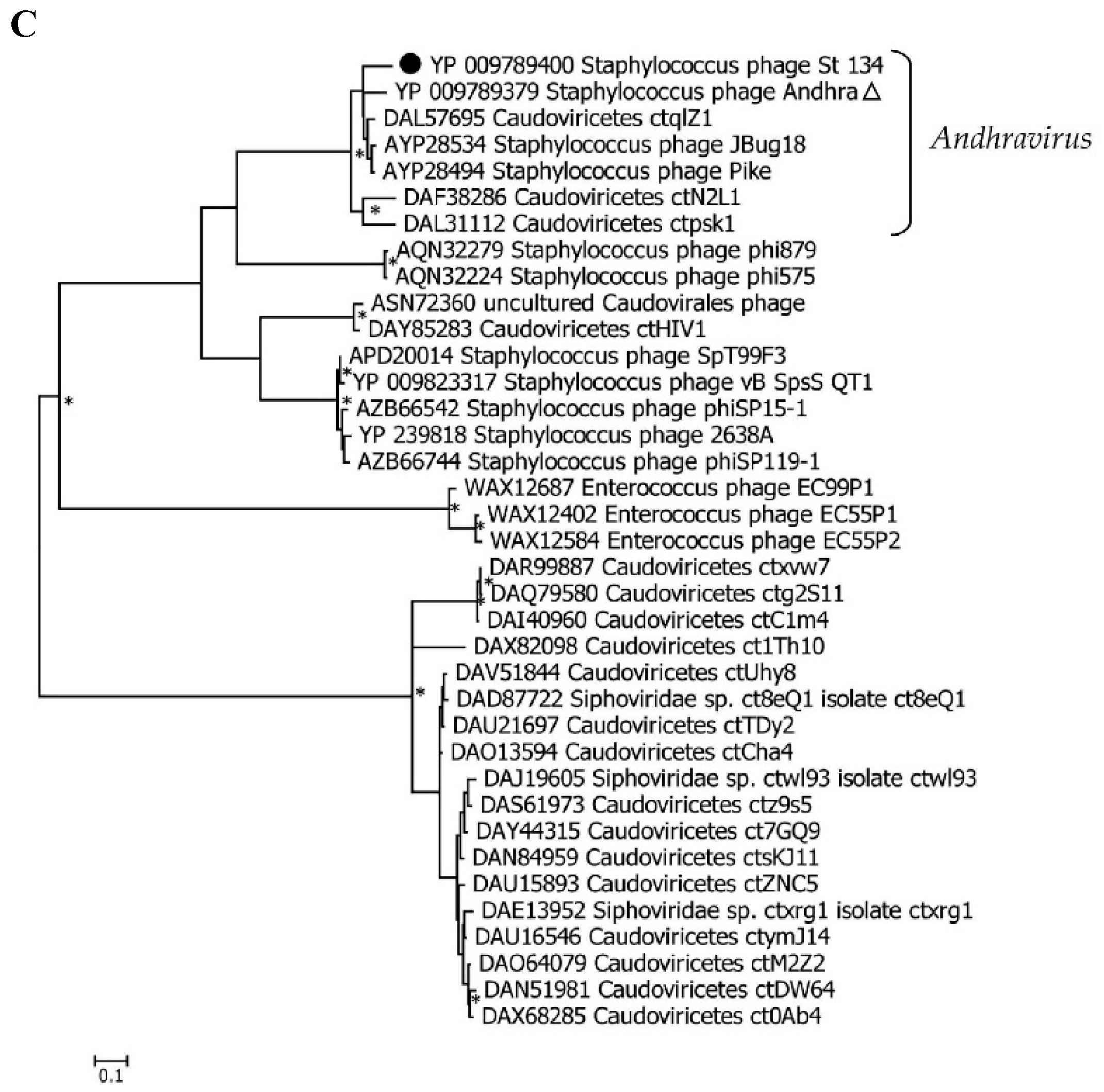 Preprints 96987 g005b