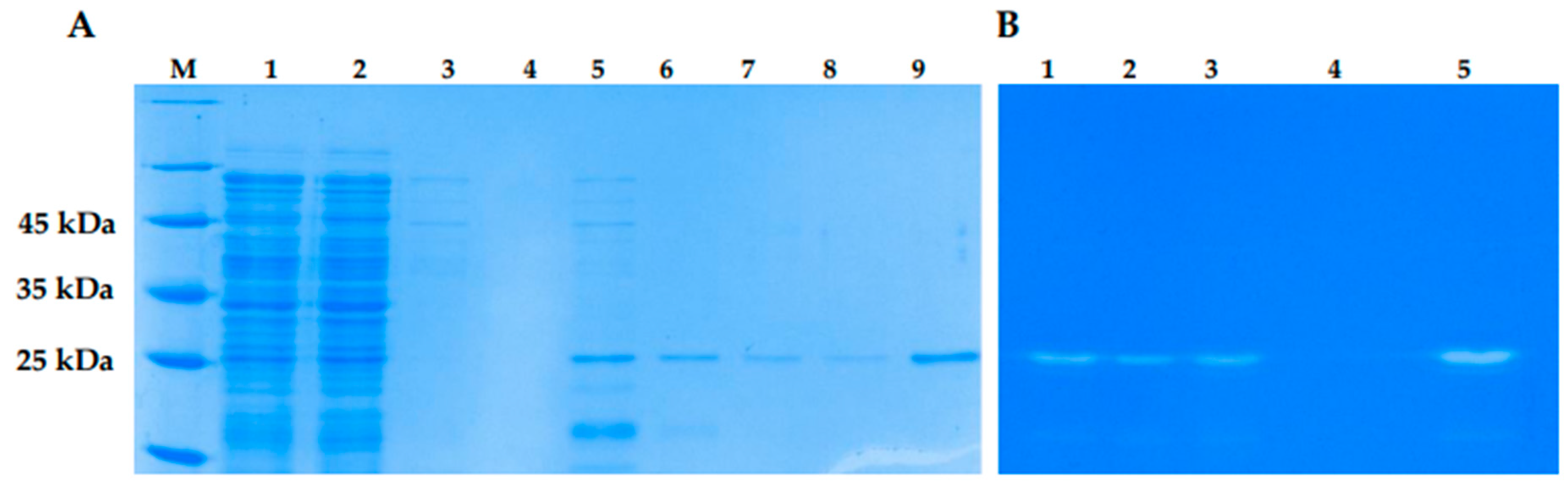 Preprints 96987 g007