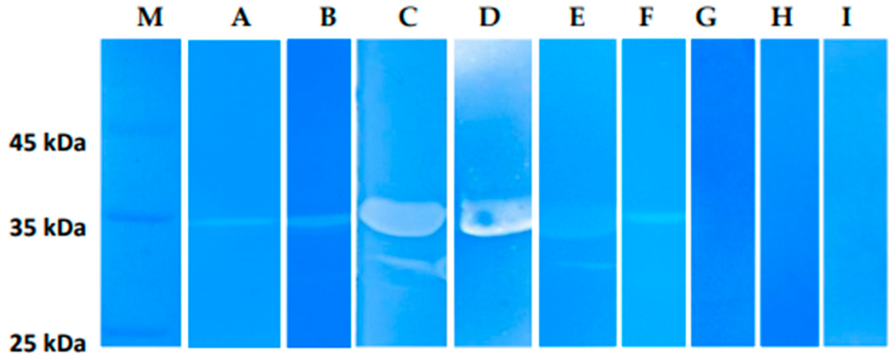 Preprints 96987 g008