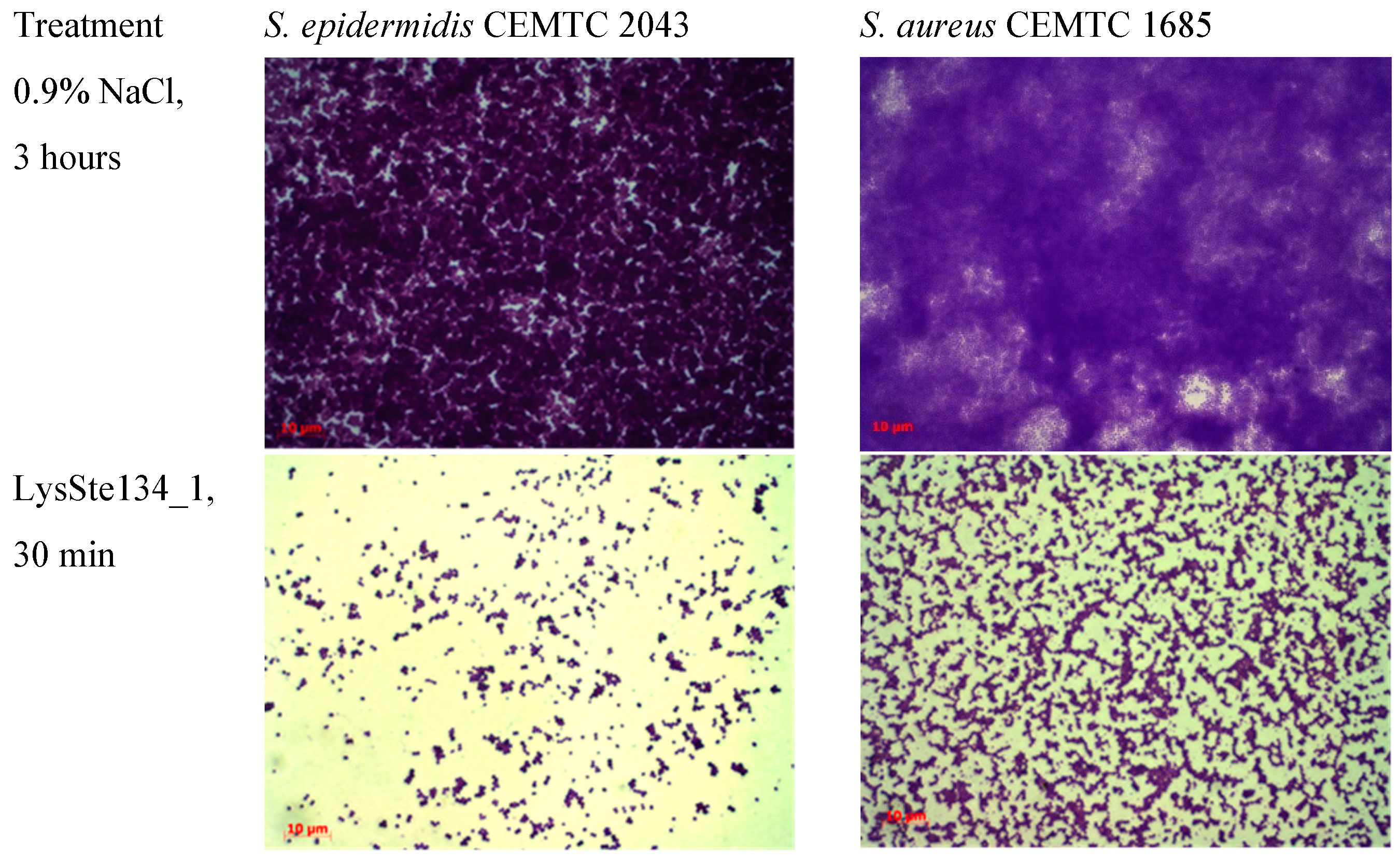 Preprints 96987 g010a