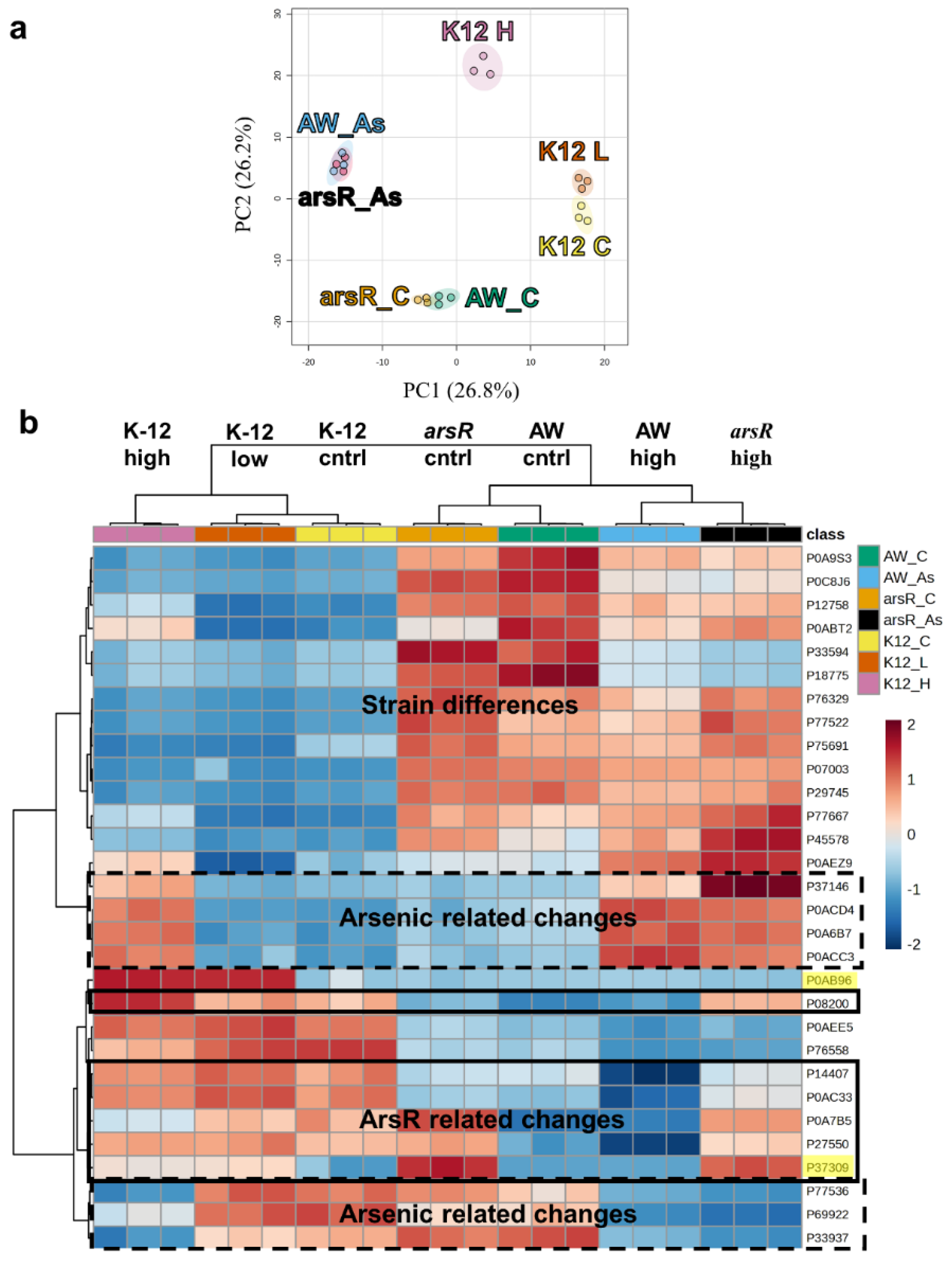 Preprints 114724 g002