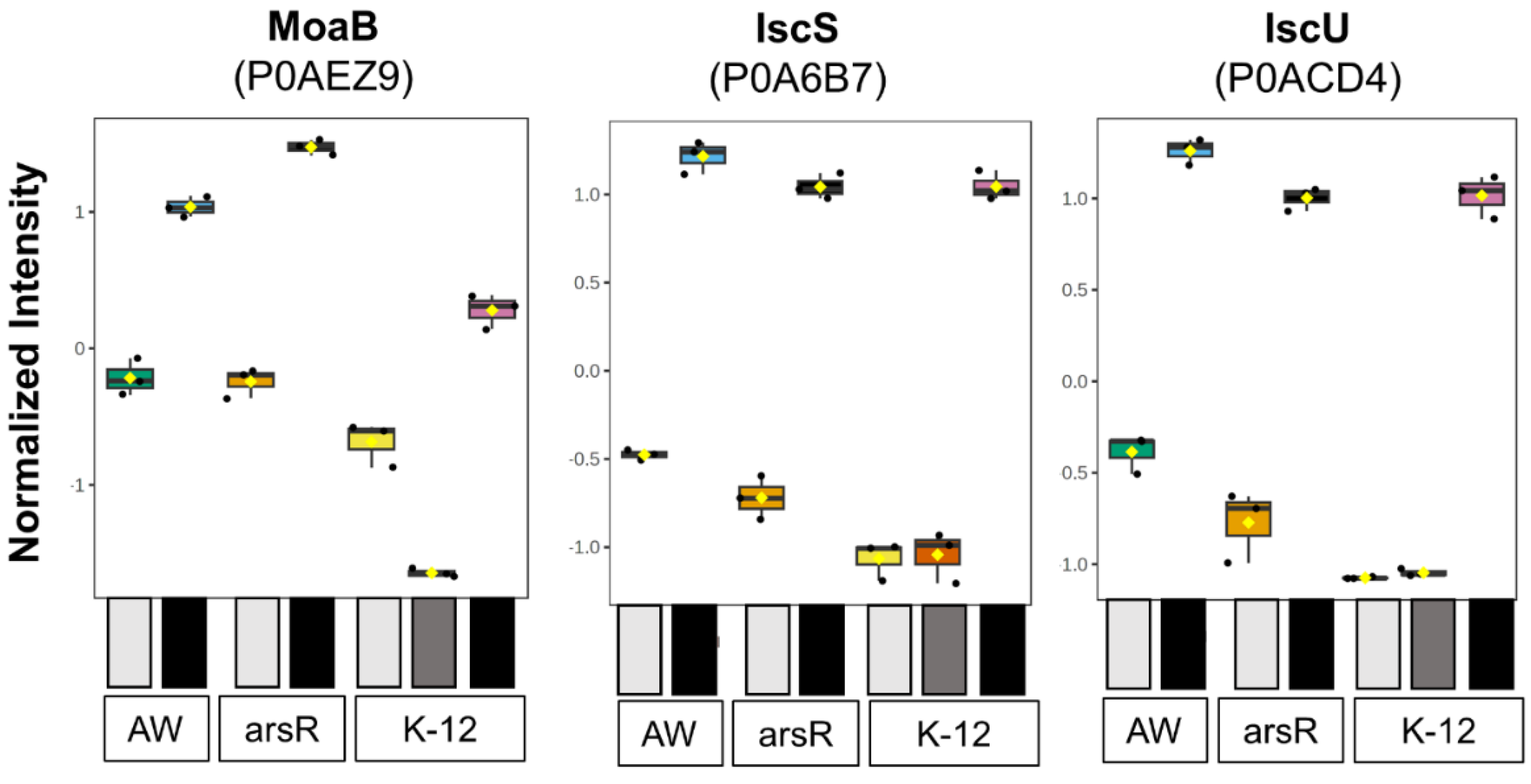 Preprints 114724 g003