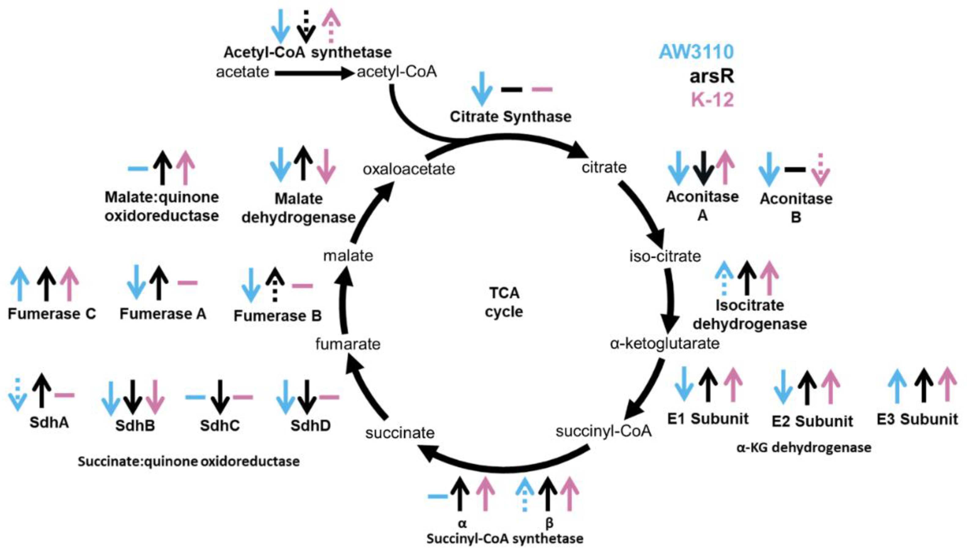 Preprints 114724 g004