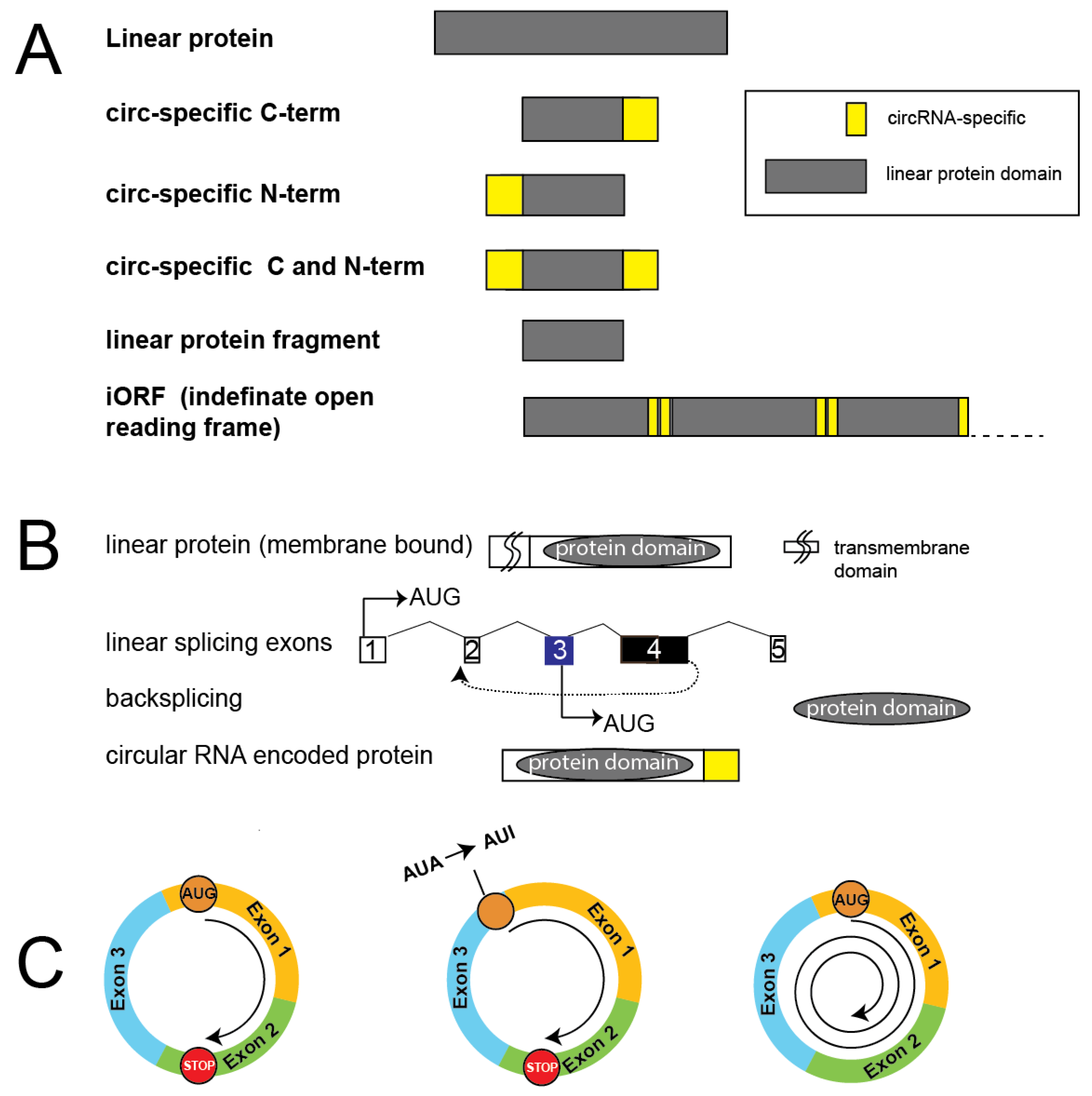 Preprints 110437 g002