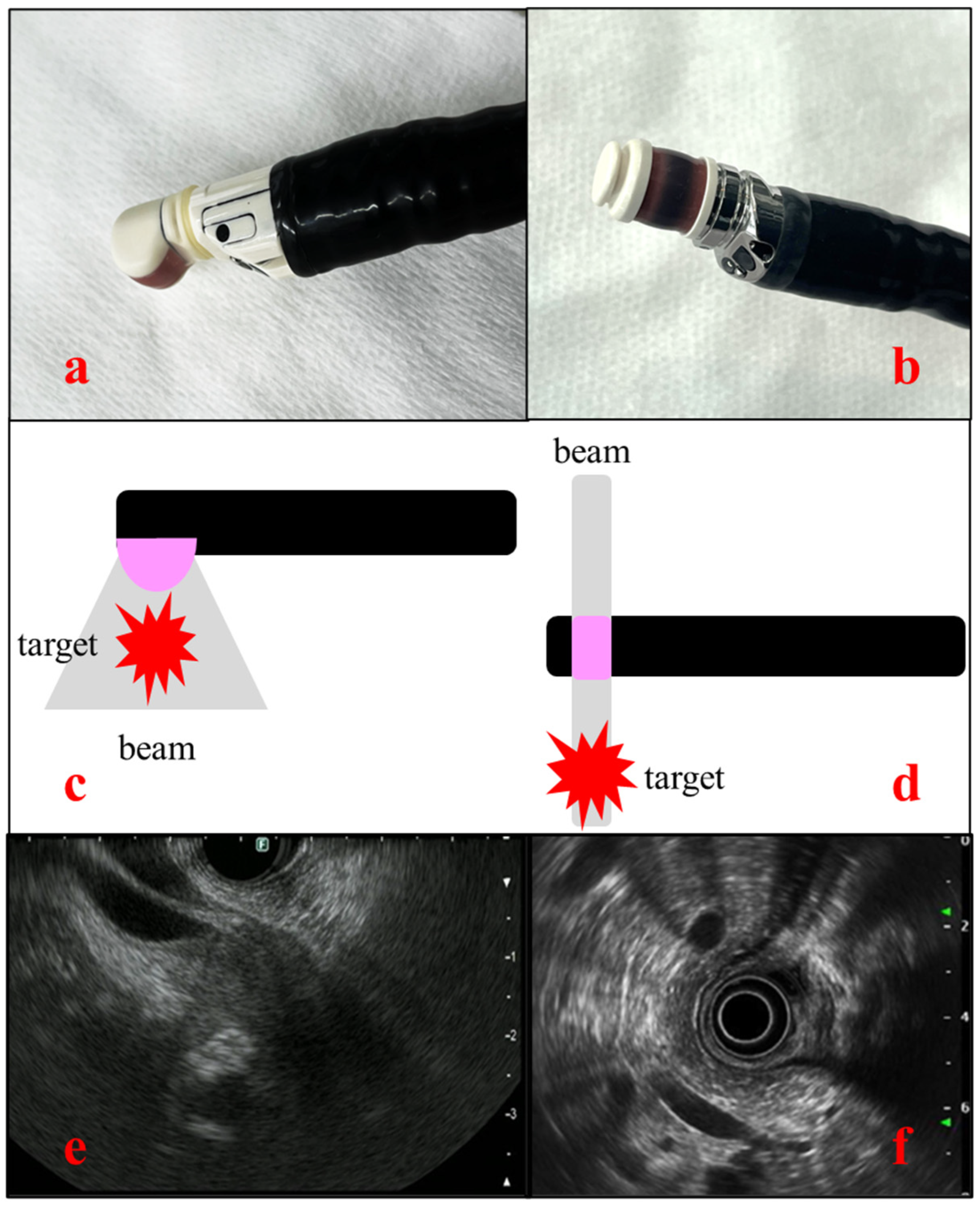 Preprints 113115 g001