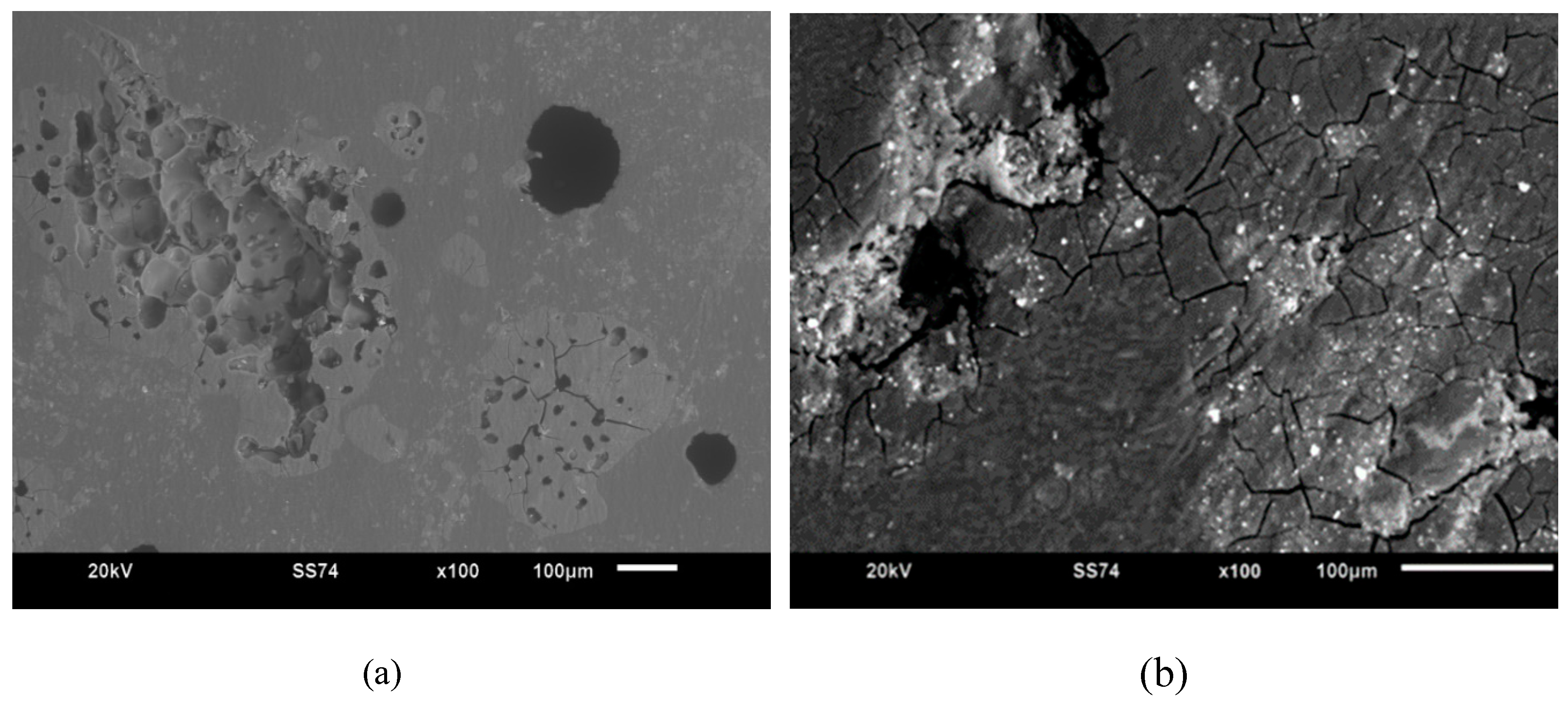 Preprints 86908 g005