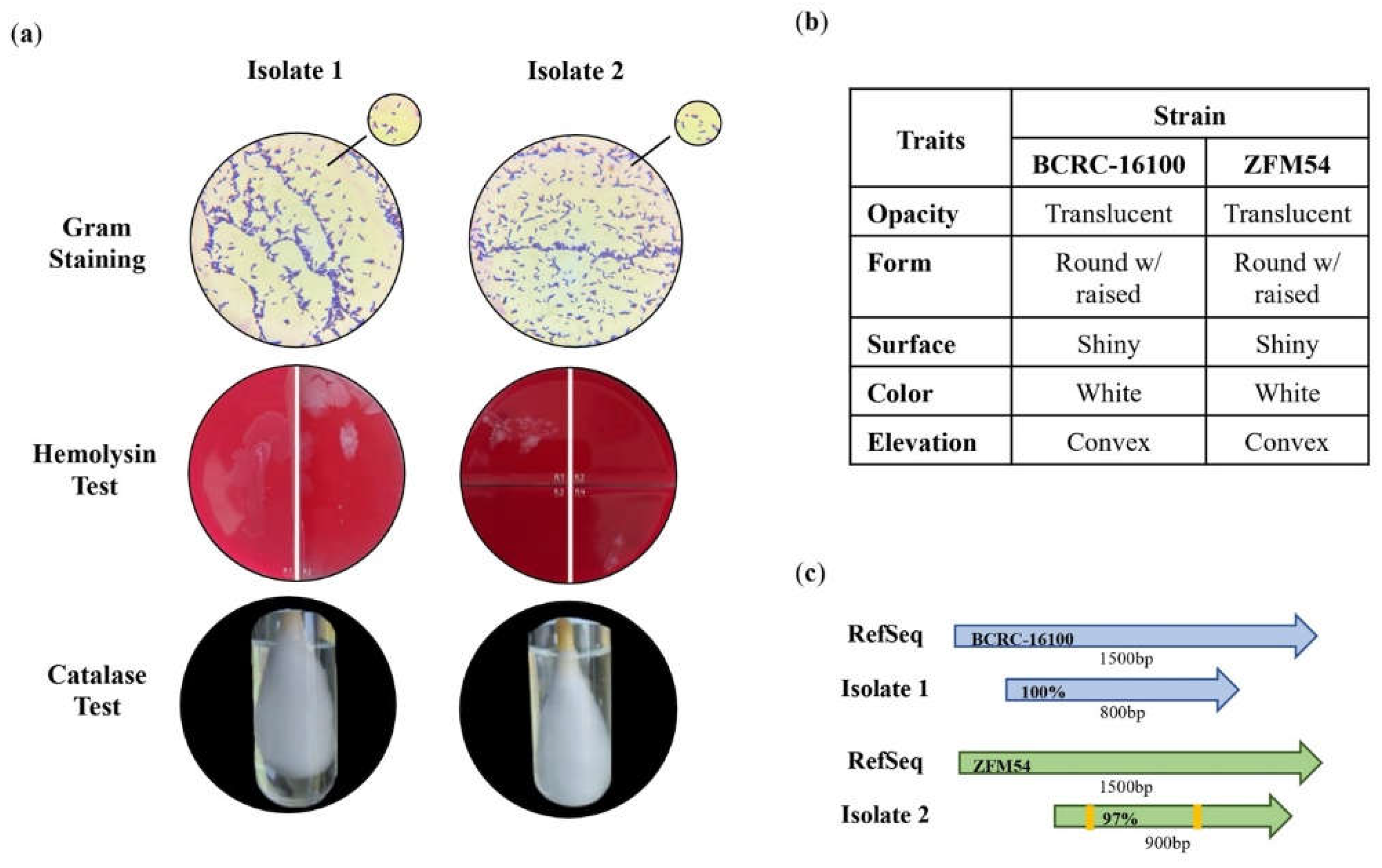 Preprints 102787 g001