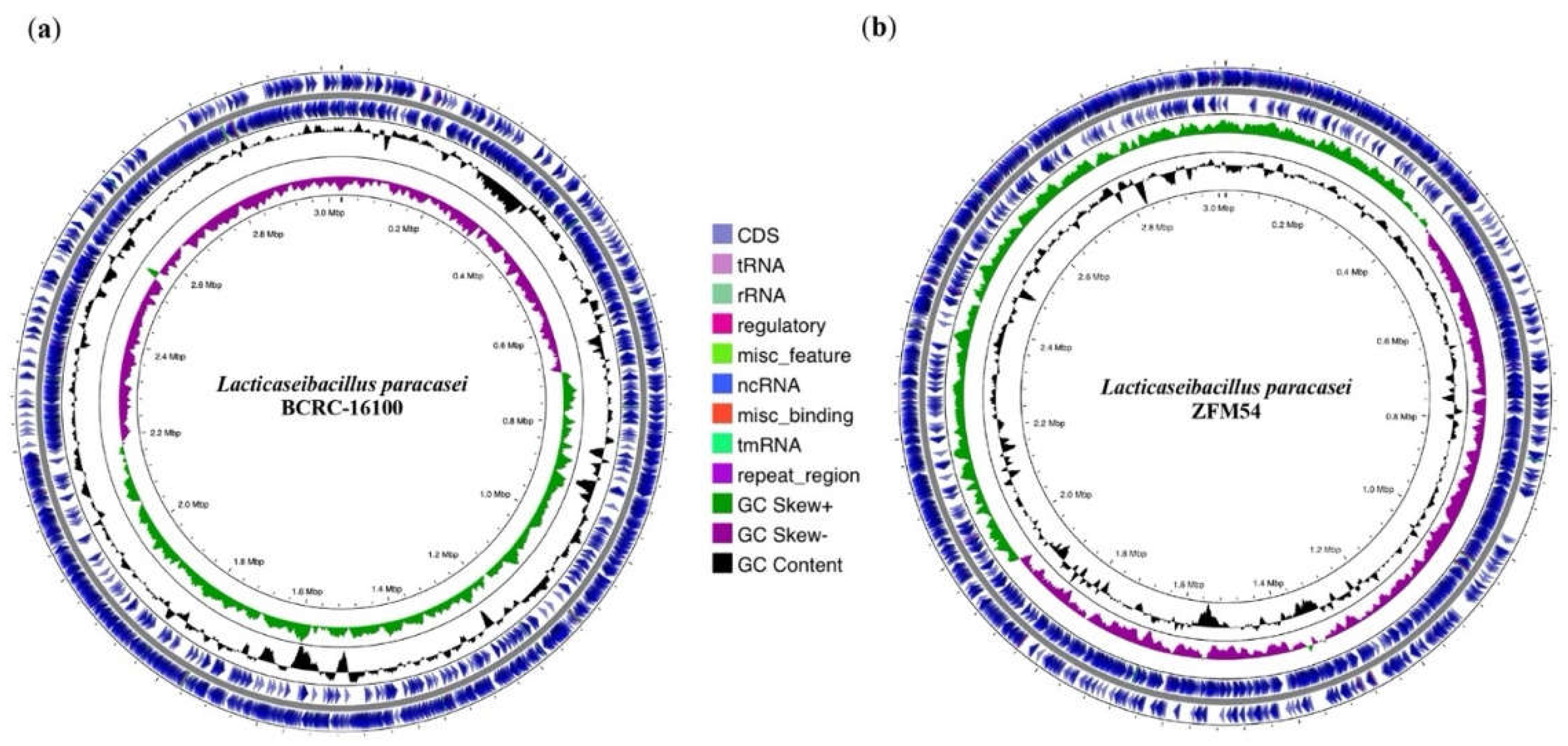 Preprints 102787 g002