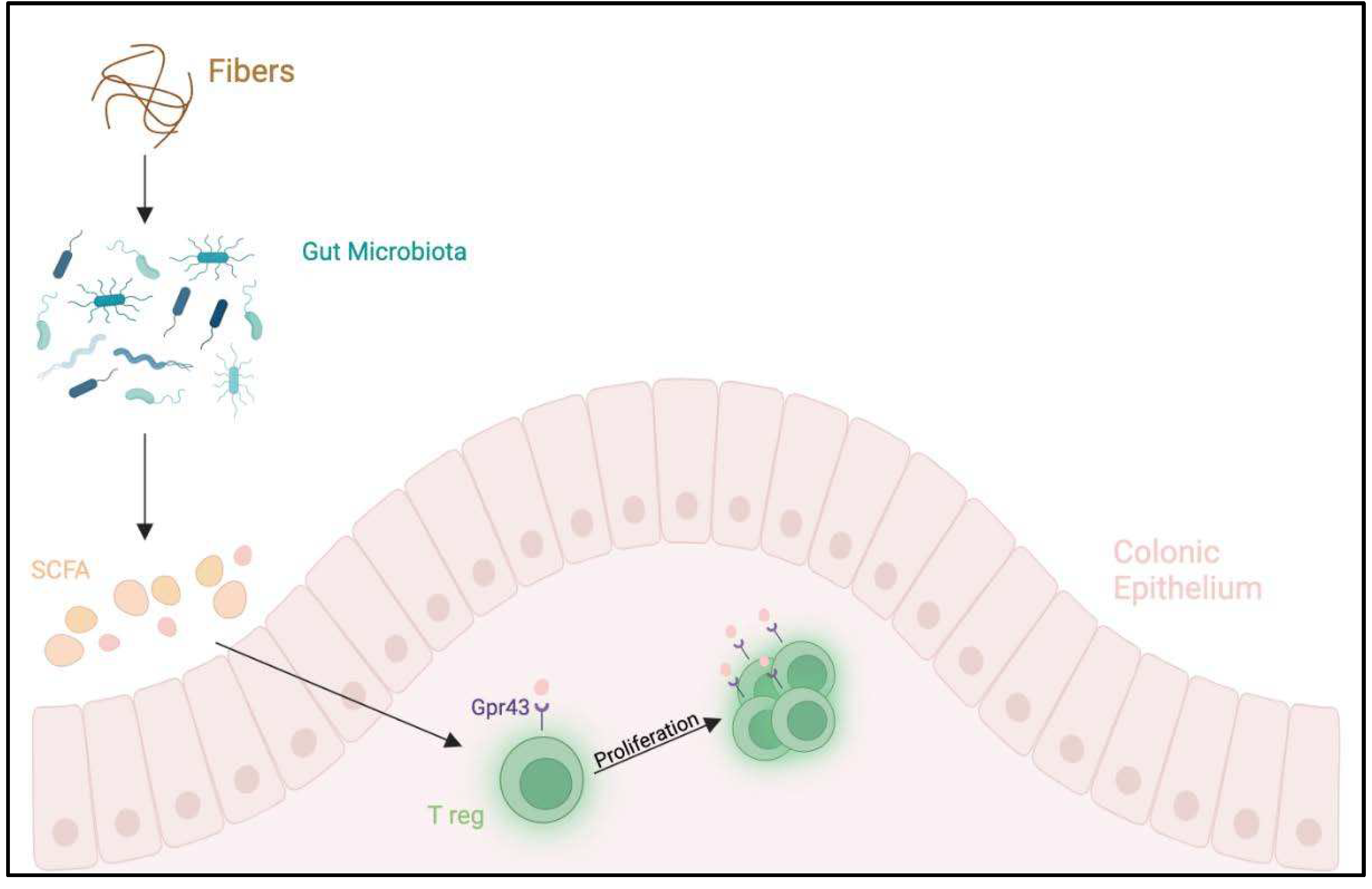 Preprints 96338 g002