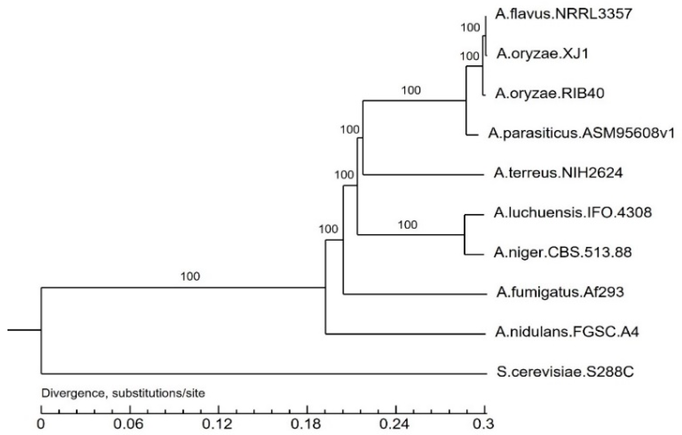 Preprints 137965 g005