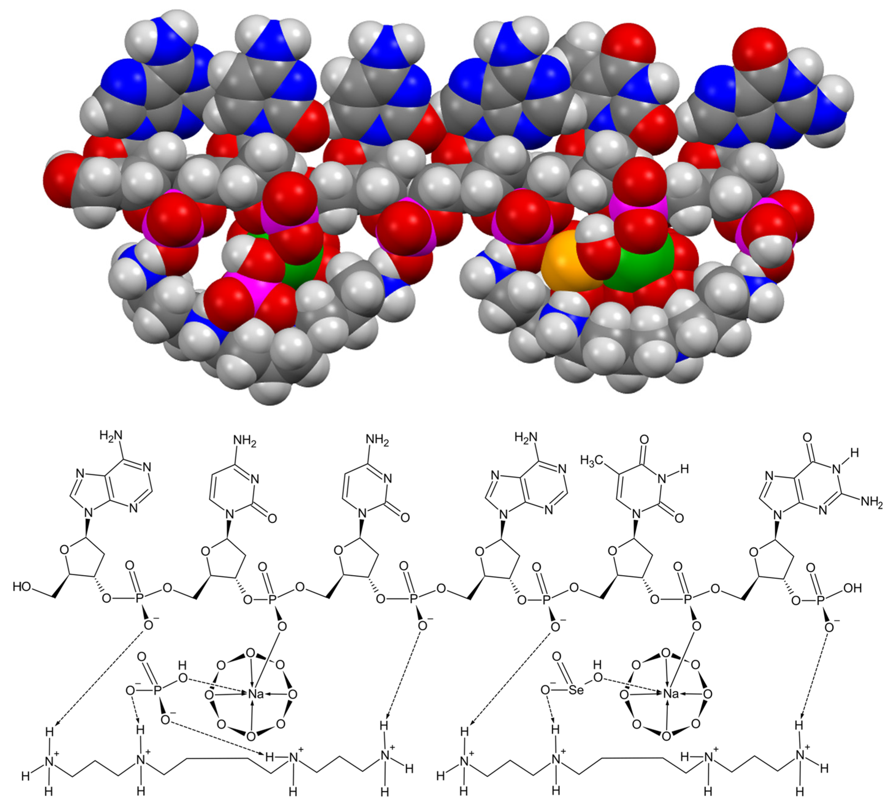 Preprints 67949 g006