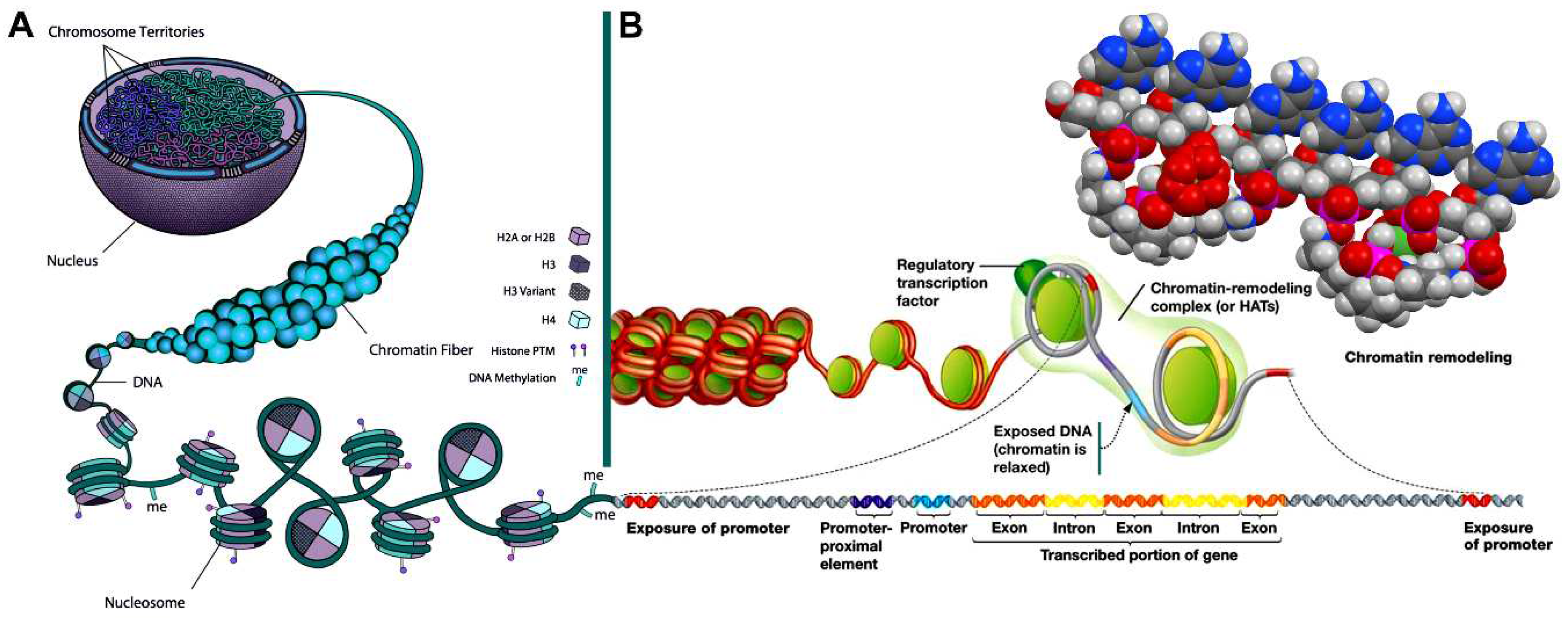 Preprints 67949 g009