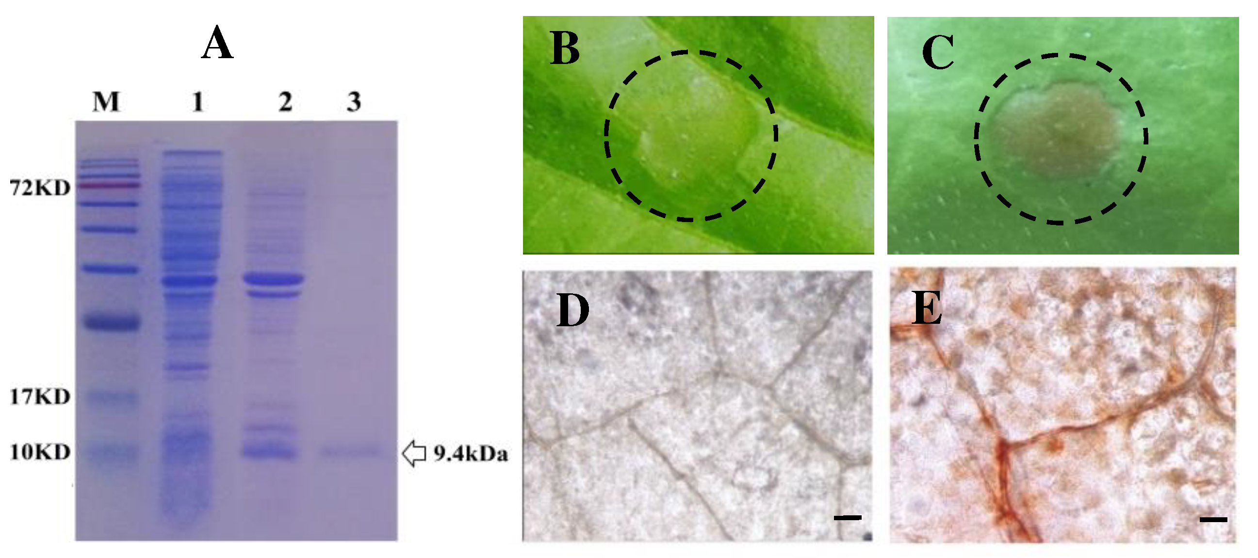 Preprints 87232 g001