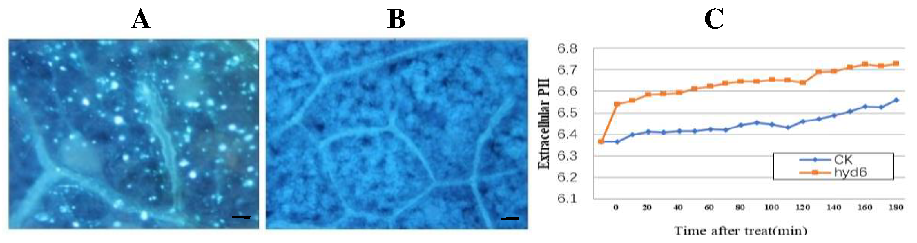 Preprints 87232 g002