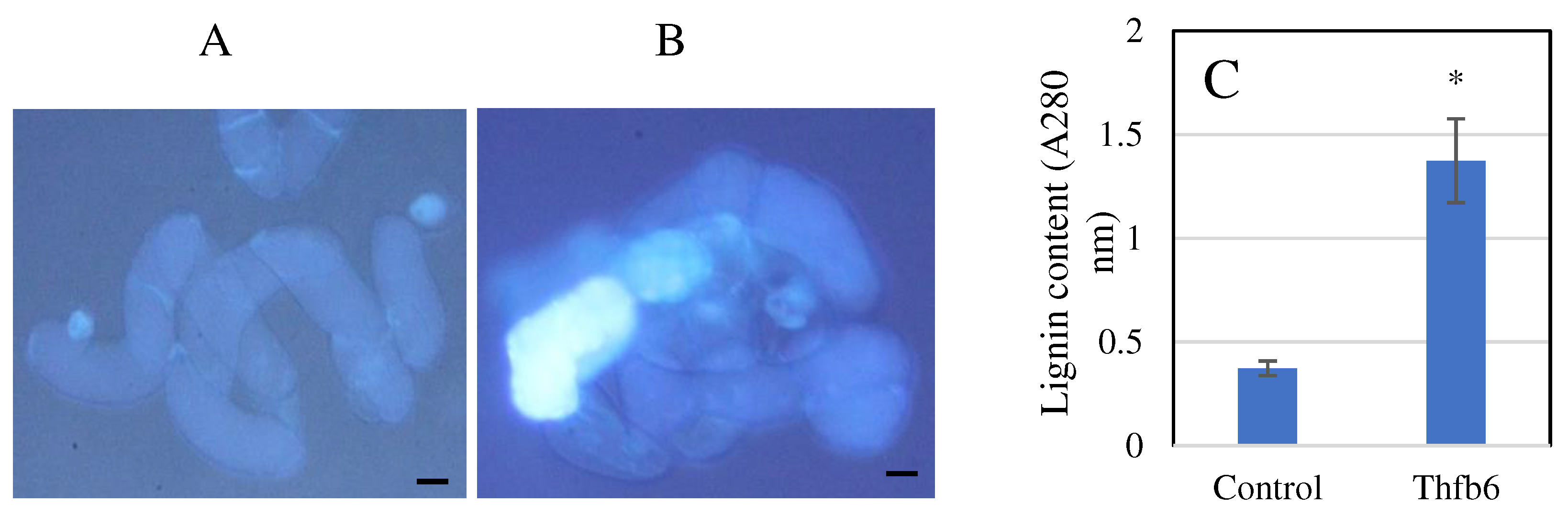 Preprints 87232 g003