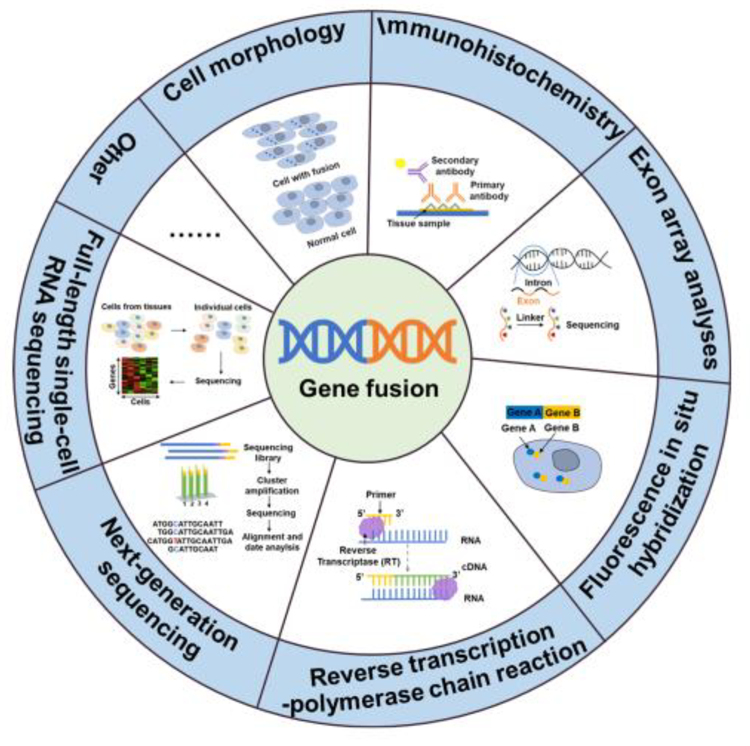 Preprints 73530 g002